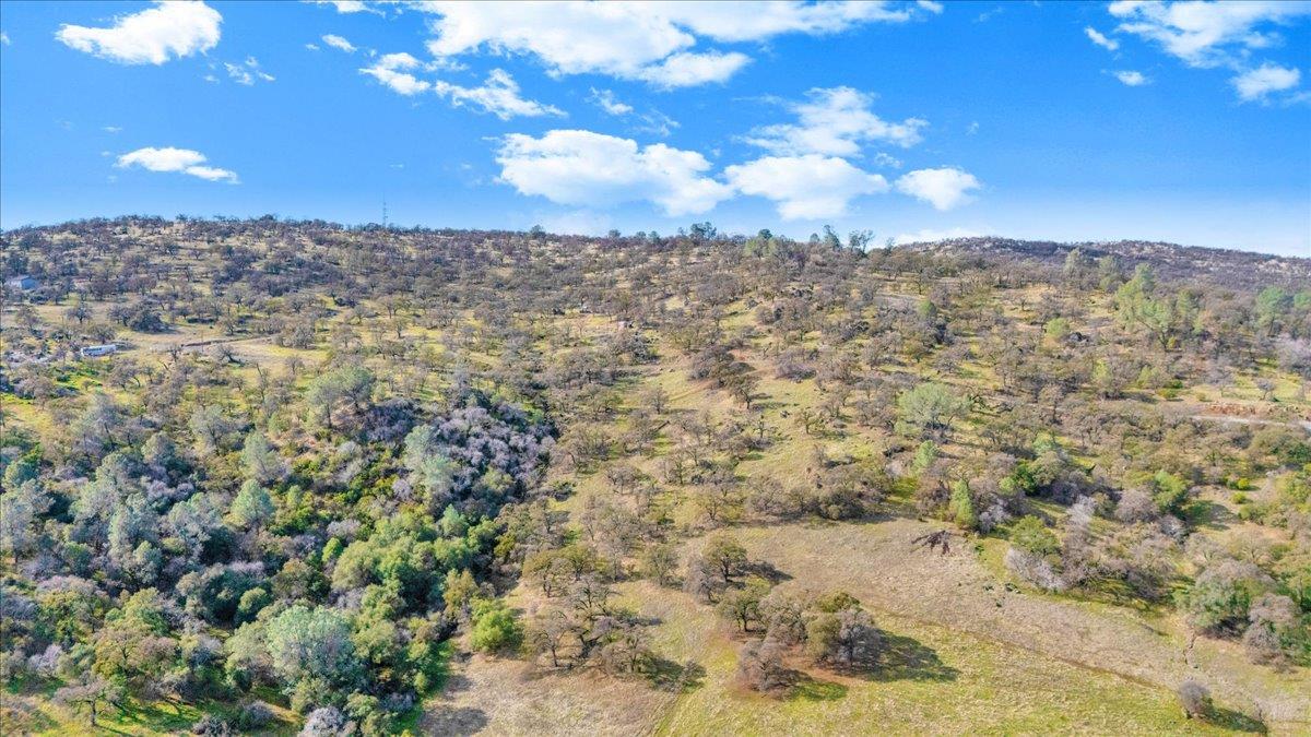 2460 Sulkey Ct, Copperopolis, CA 95228