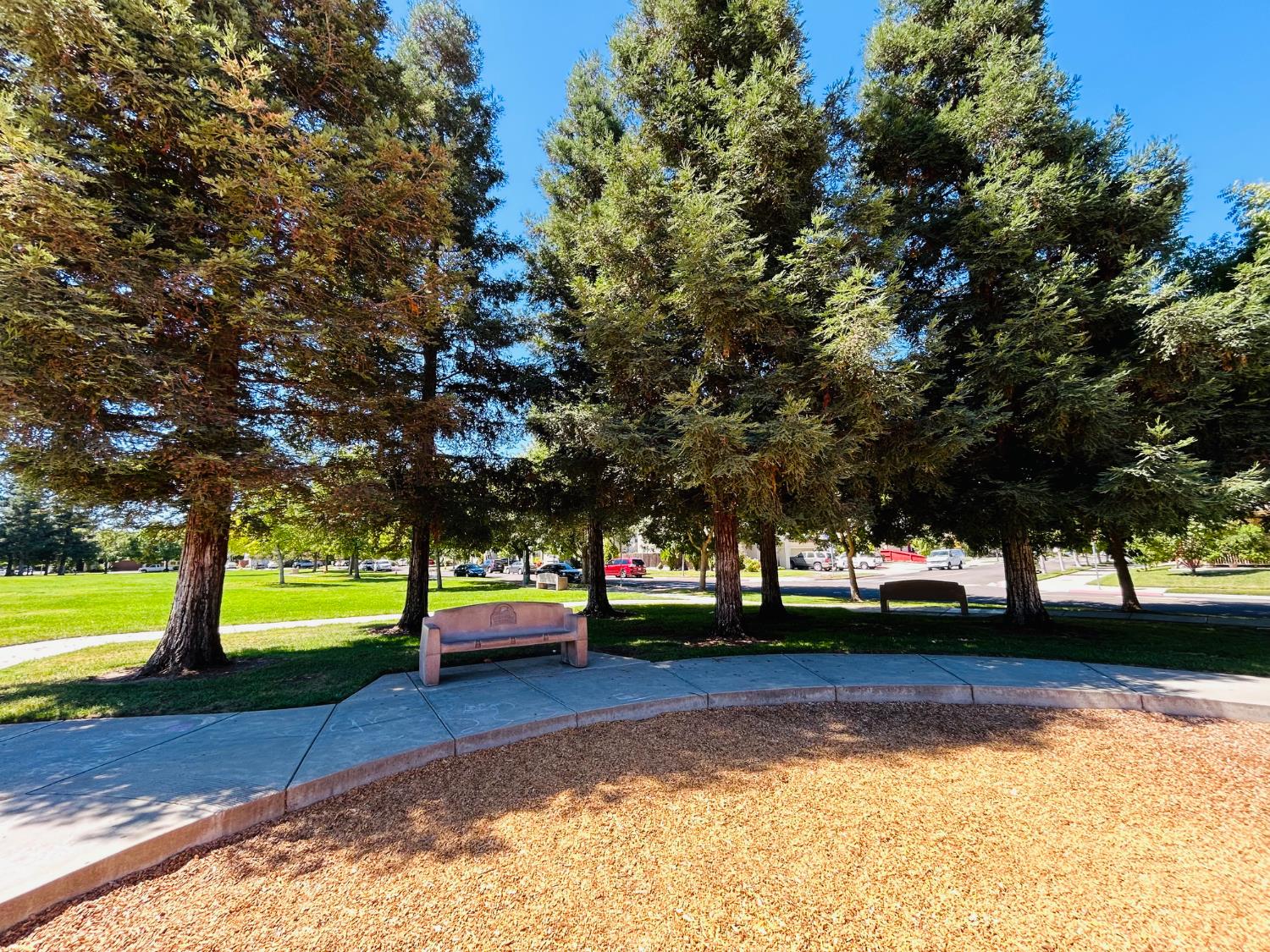 4638 Cherry Blossom Ln, Turlock, CA 95382