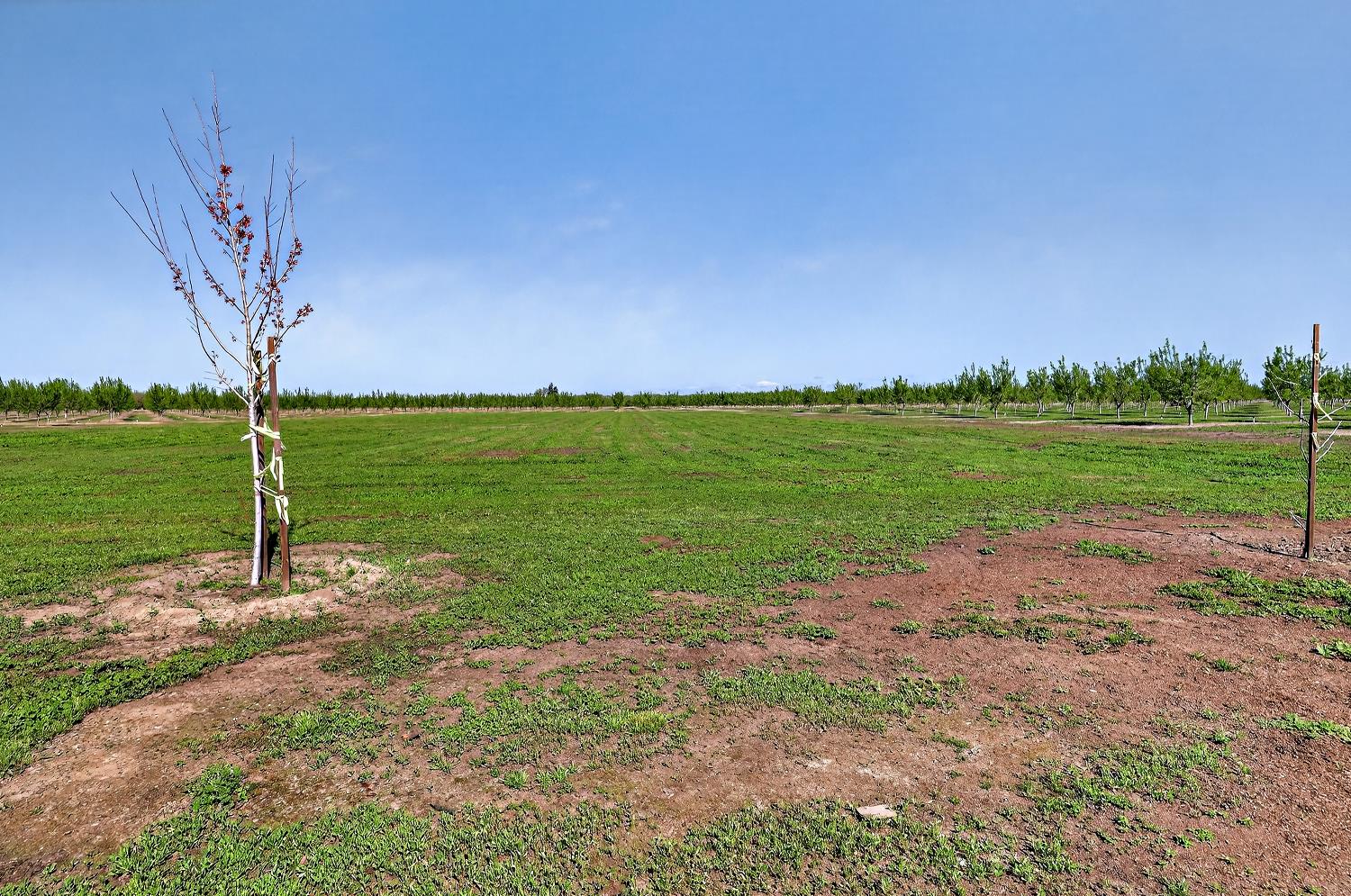 13807 Dallas Rd, Hickman, CA 95323