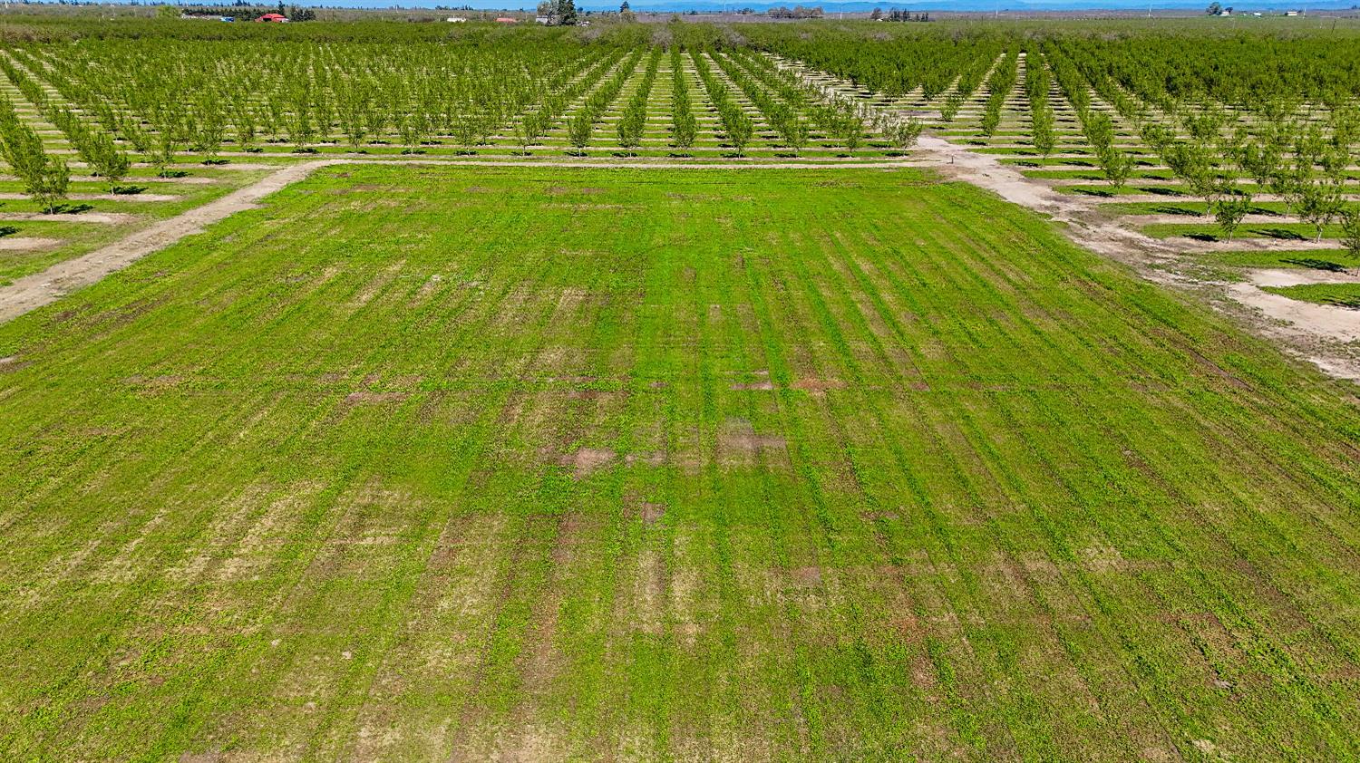 13807 Dallas Rd, Hickman, CA 95323