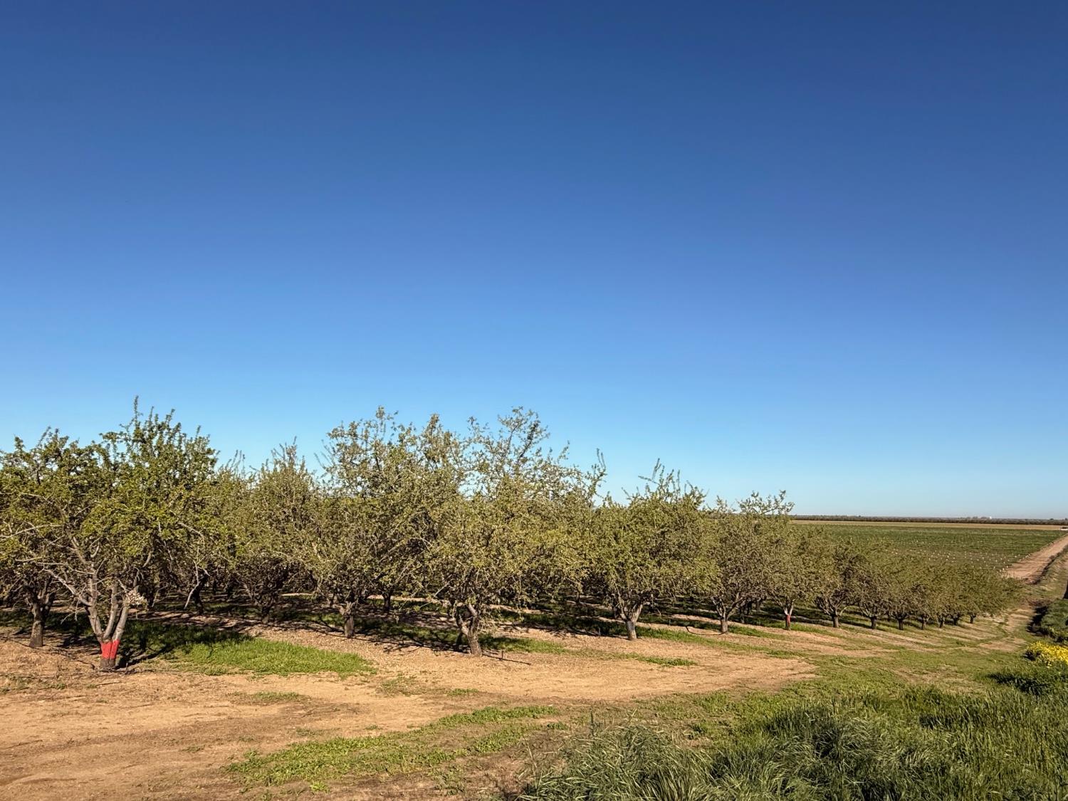 4060 Orestimba Rd, Newman, CA 95360