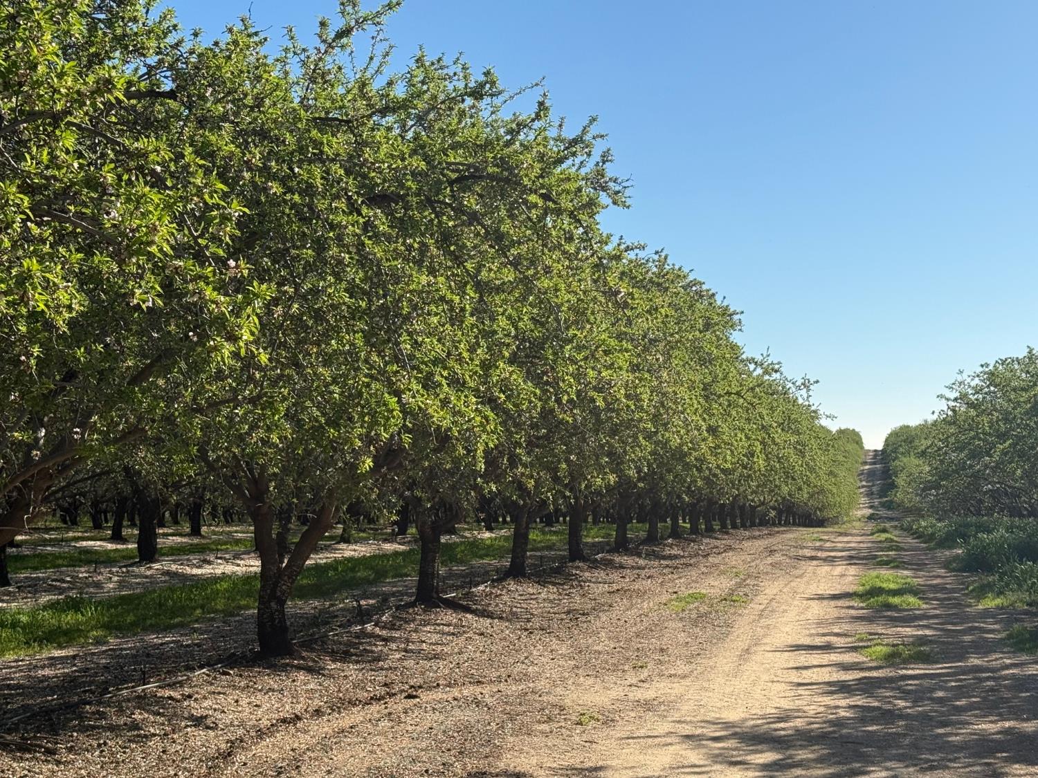 4060 Orestimba Rd, Newman, CA 95360