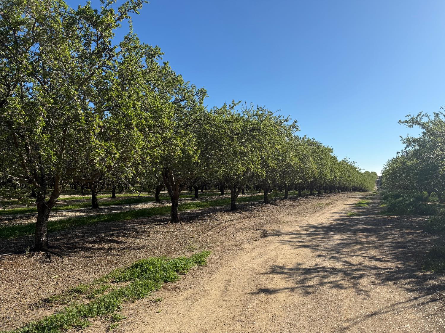 4060 Orestimba Rd, Newman, CA 95360