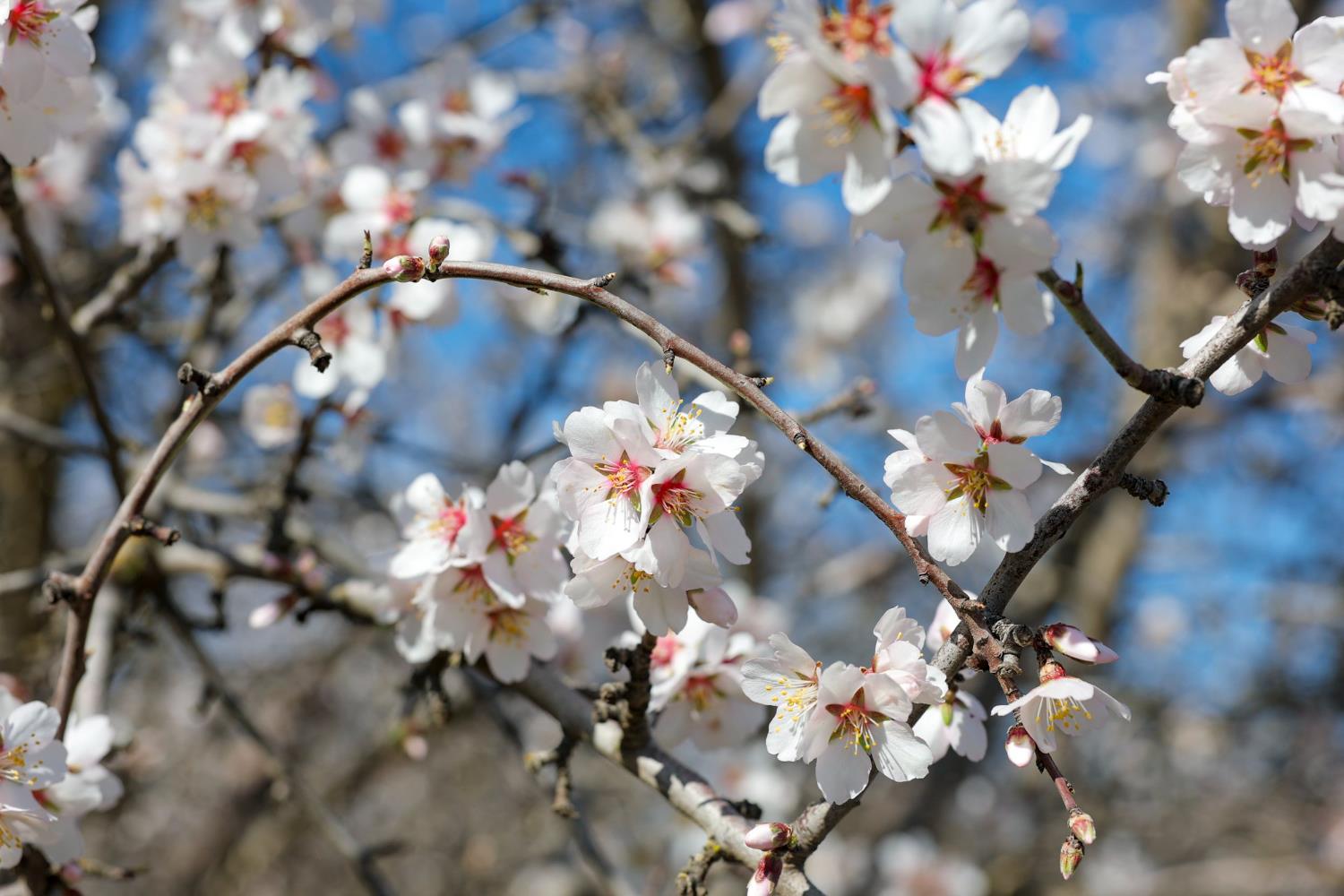 0 Horseshoe Road, Oakdale, CA 95361