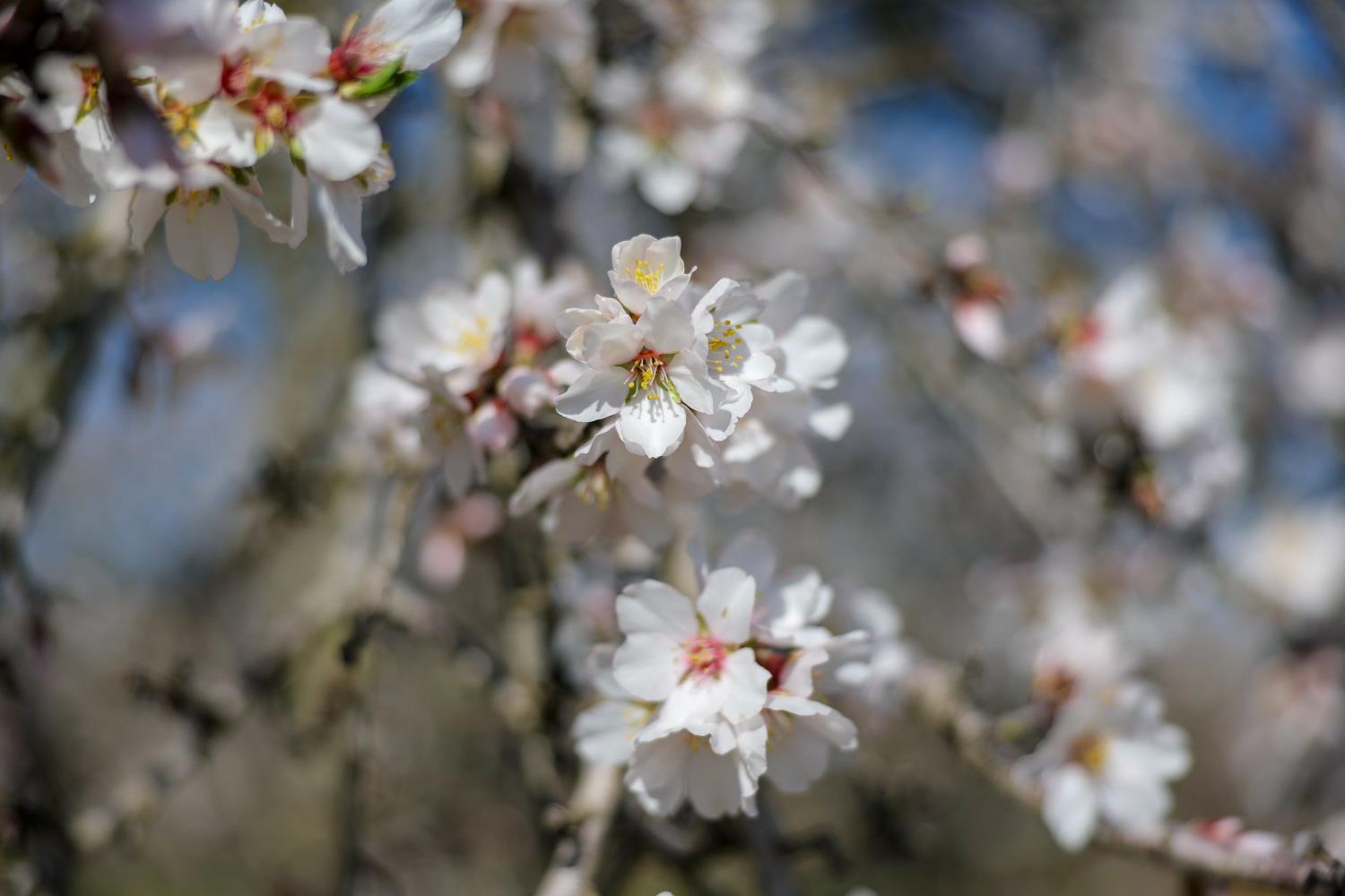 0 Horseshoe Road, Oakdale, CA 95361