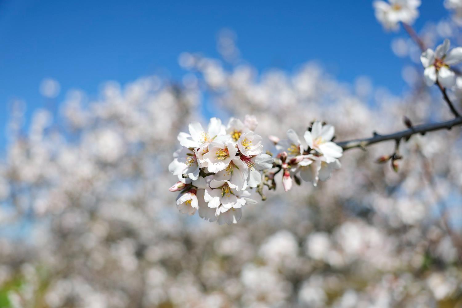 0 Horseshoe Road, Oakdale, CA 95361