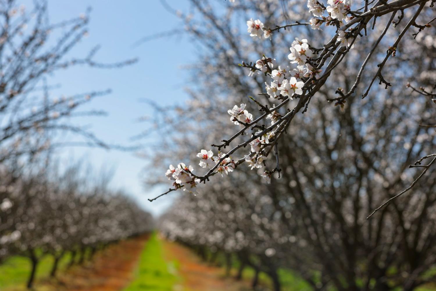 0 Horseshoe Road, Oakdale, CA 95361