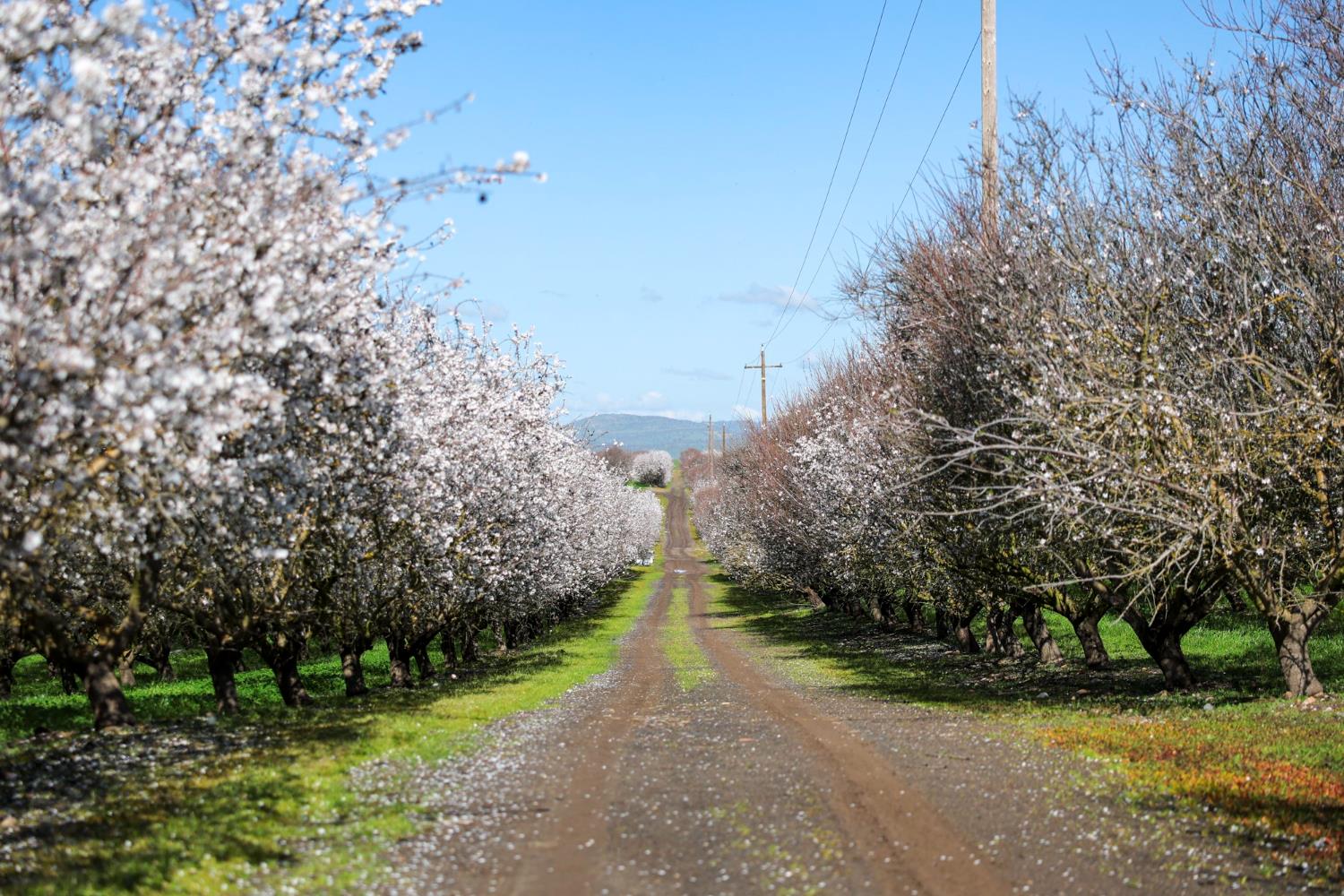 0 Horseshoe Road, Oakdale, CA 95361