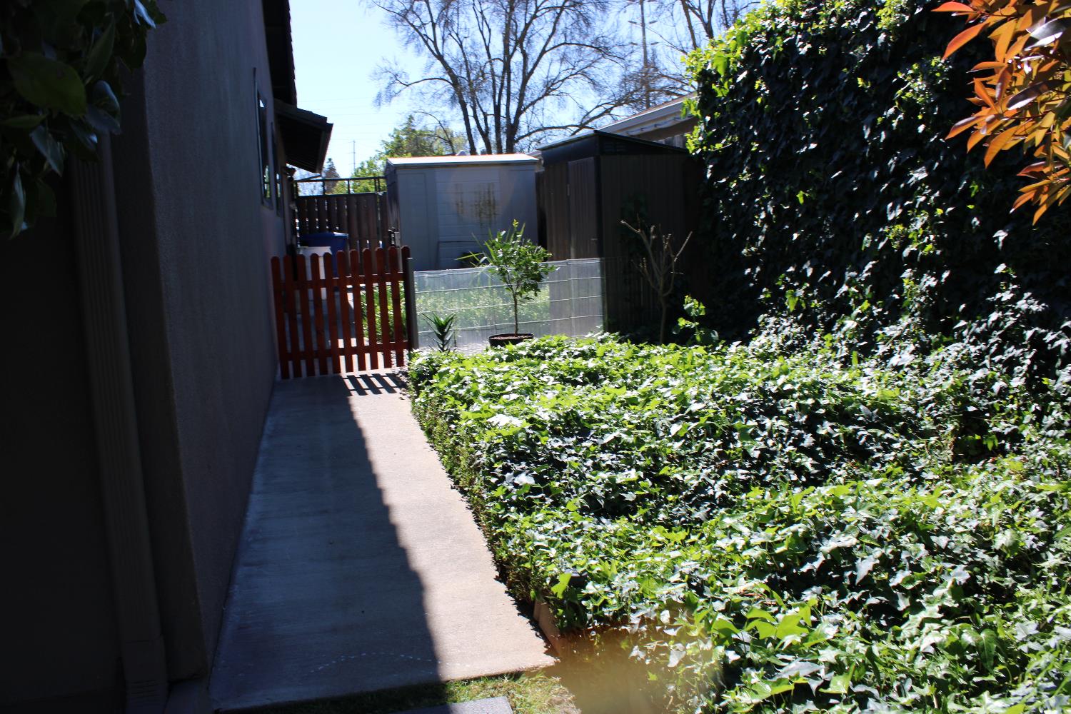 1637 Carlisle Ave, Modesto, CA 95356