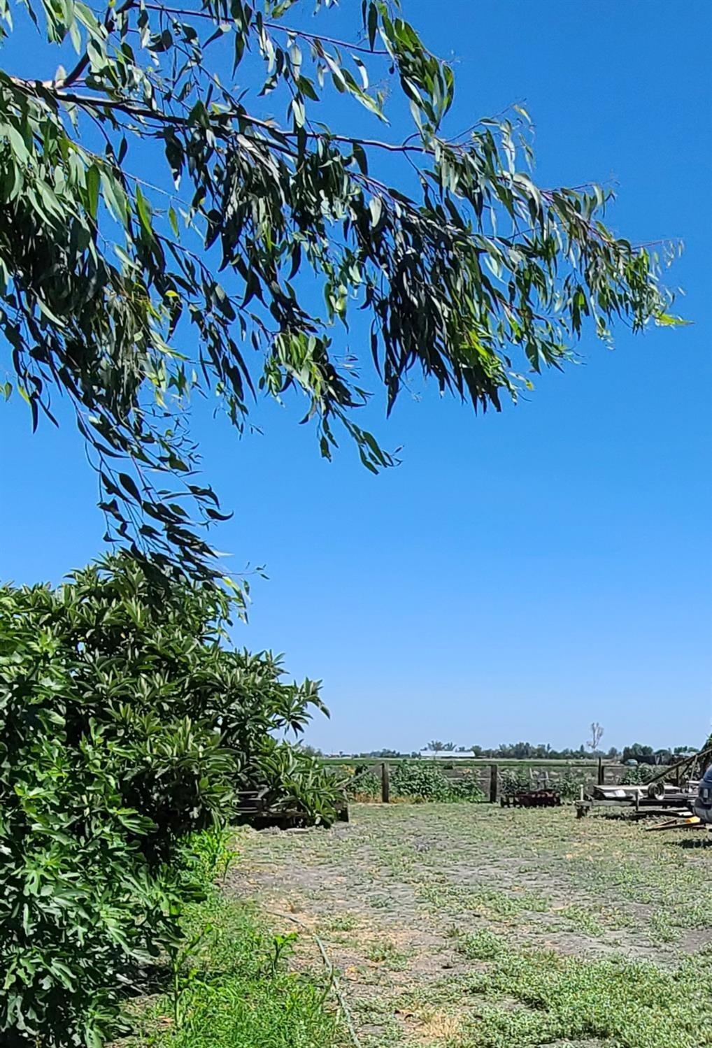 8794 blossom Ave, Dos Palos, CA 93620