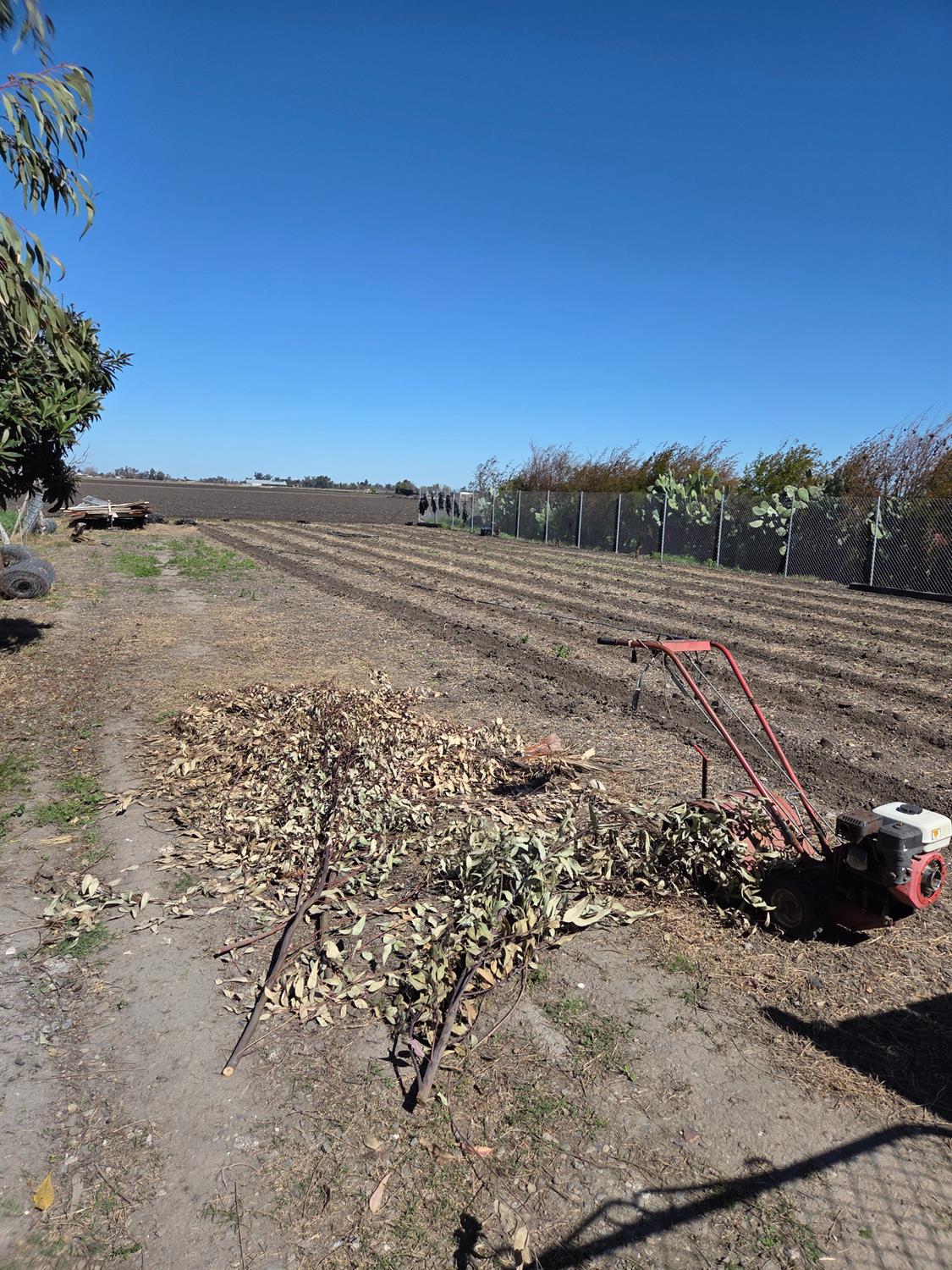 8794 blossom Ave, Dos Palos, CA 93620