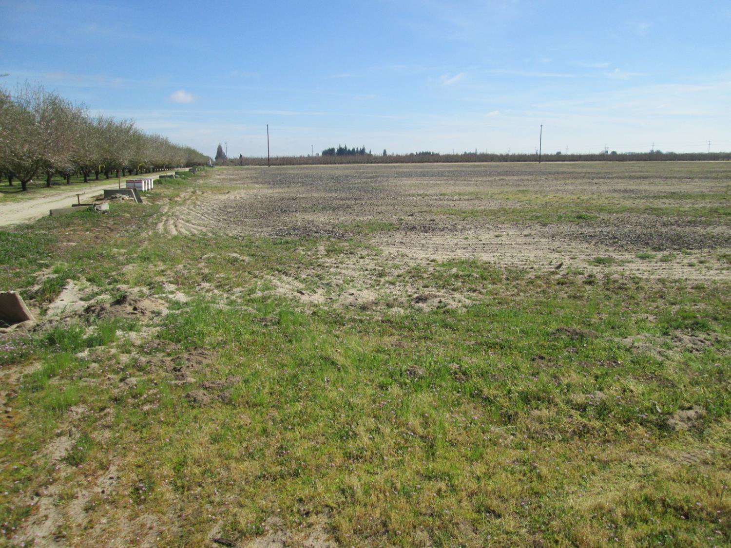 18650 E Eugenia Ave, Ripon, CA 95366