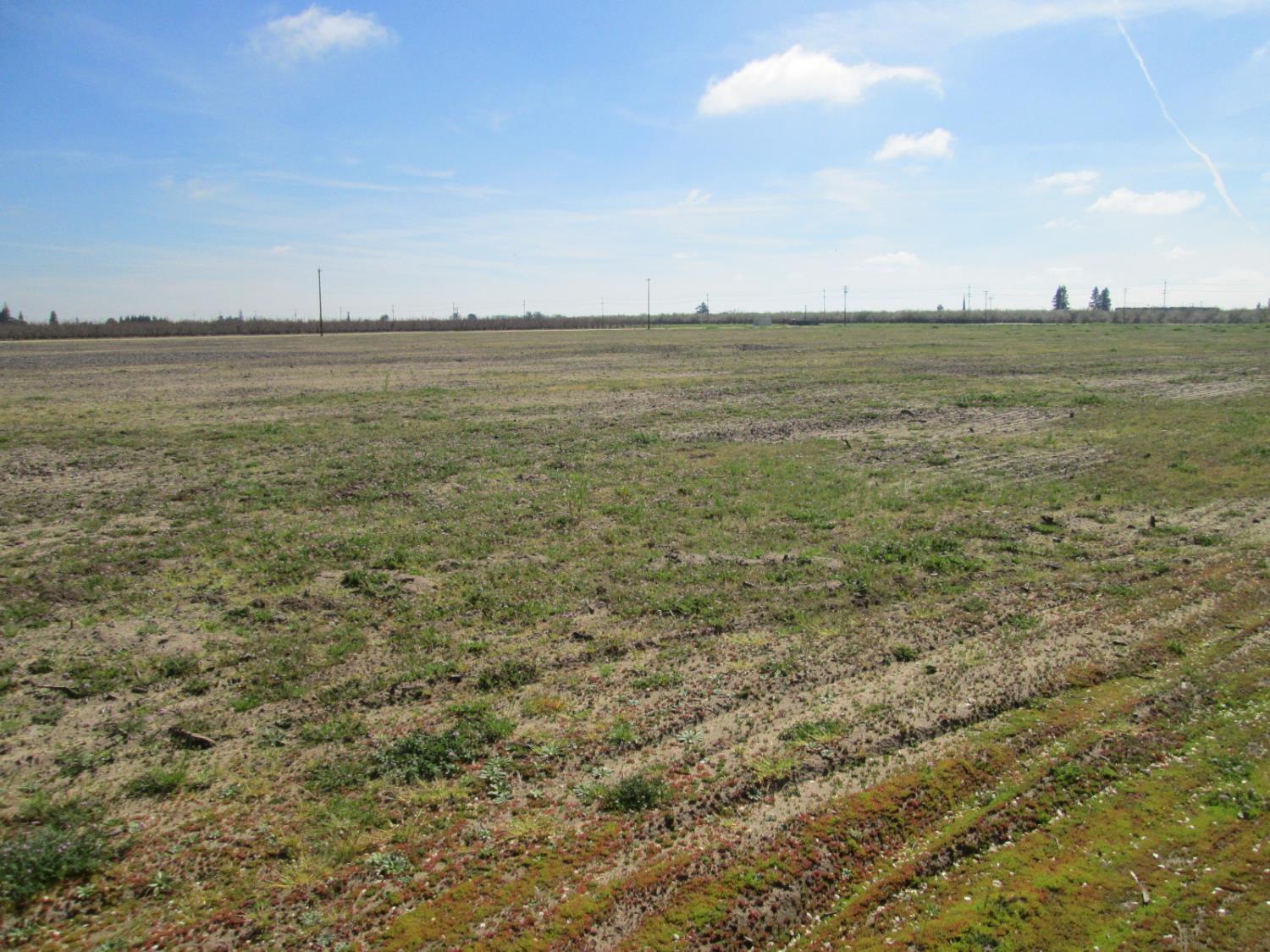 18650 E Eugenia Ave, Ripon, CA 95366