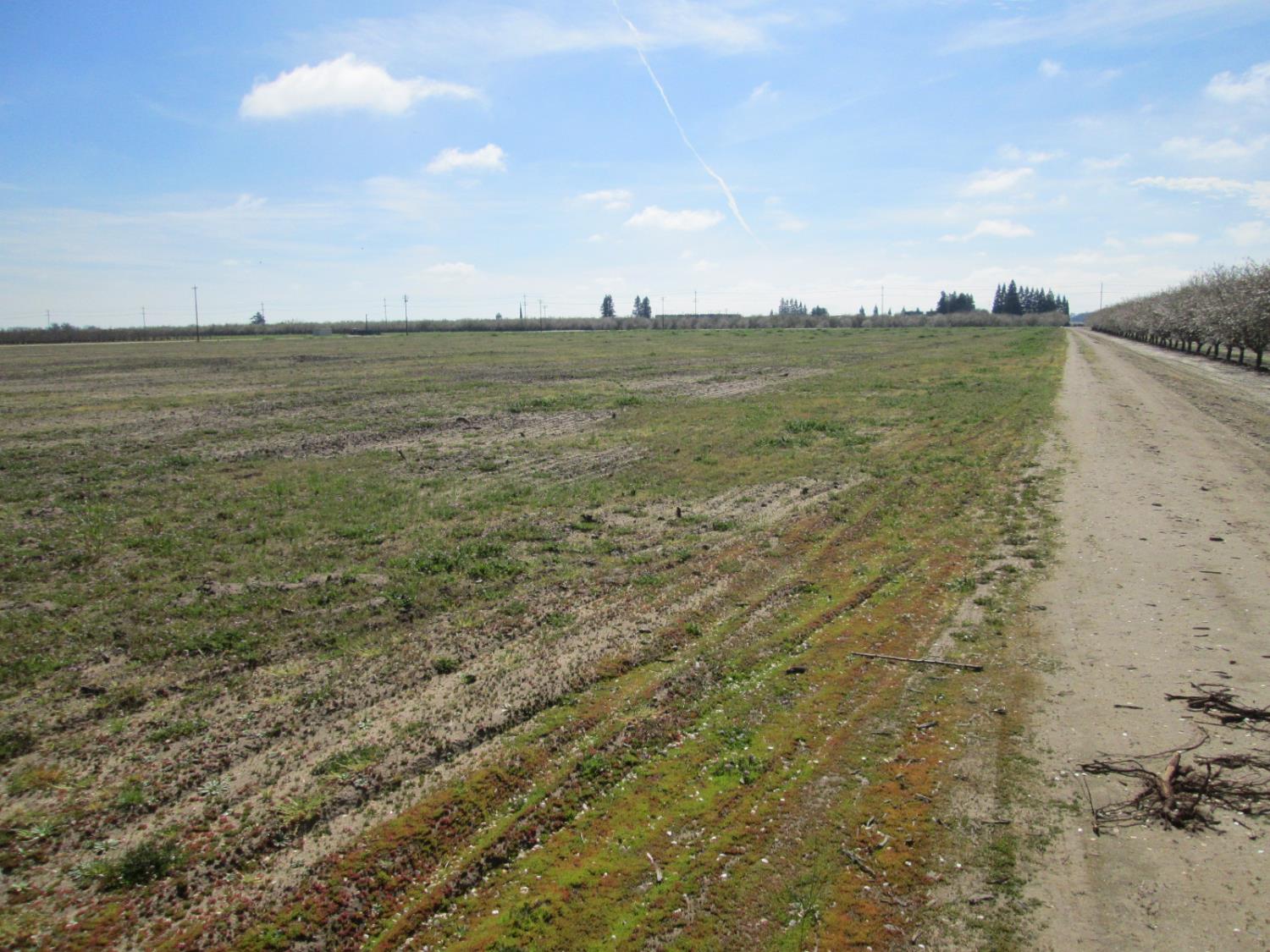 18650 E Eugenia Ave, Ripon, CA 95366