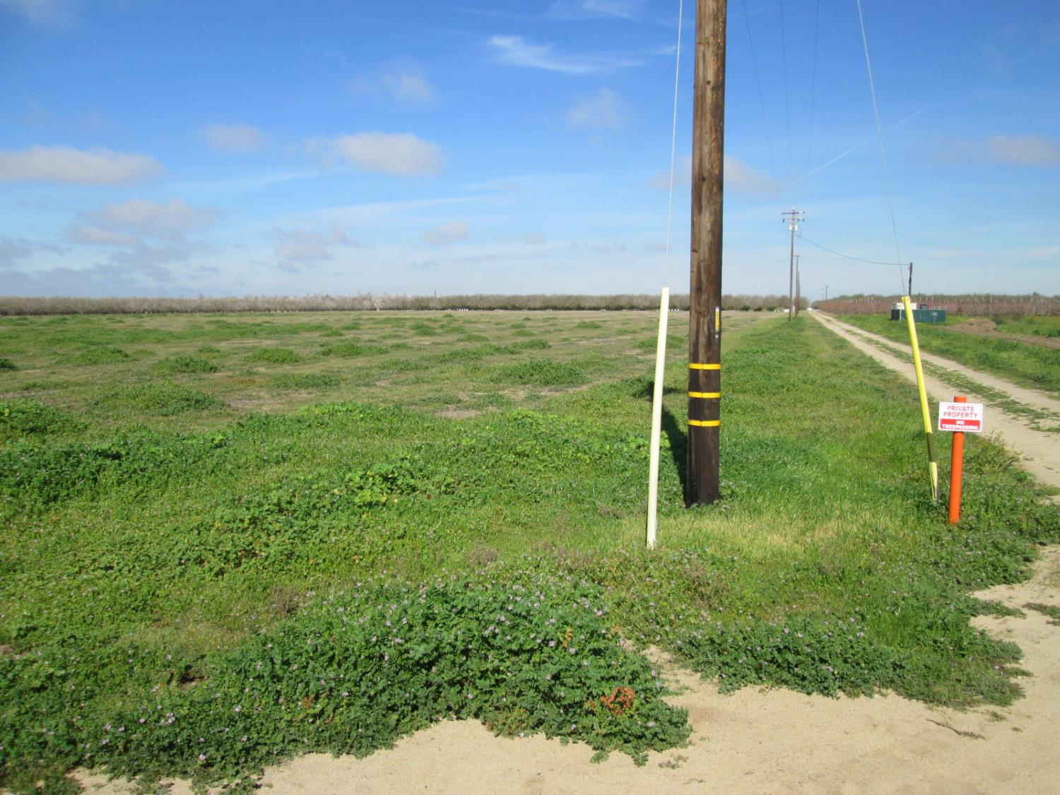 18650 E Eugenia Ave, Ripon, CA 95366