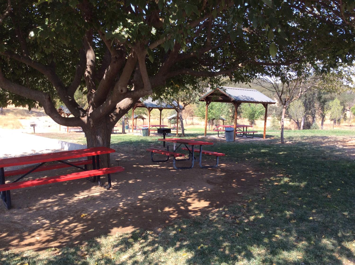 992 Iroquois Cir, Copperopolis, CA 95228