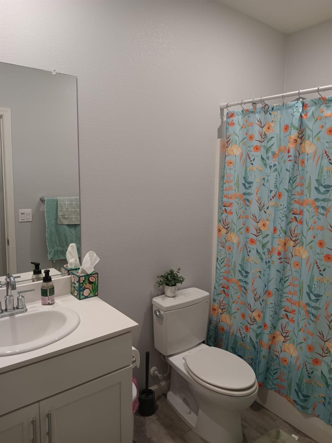 2182 River Willow Ave, Manteca, CA 95337