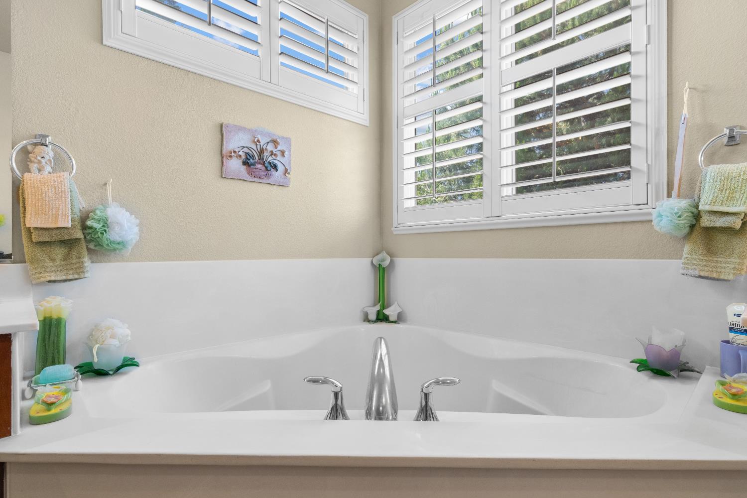 1810 Silvio Way, Oakdale, CA 95361