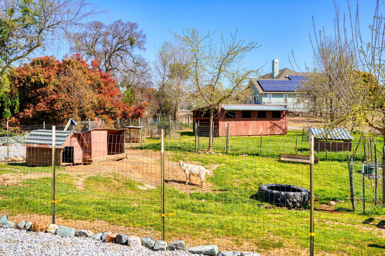 1815 Hoya Ct, Copperopolis, CA 95228