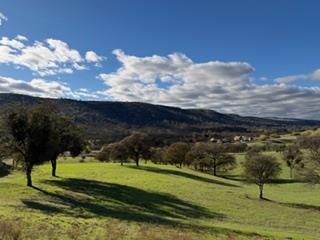 184 Quail Creek Ter, Copperopolis, CA 95228