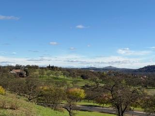 184 Quail Creek Ter, Copperopolis, CA 95228