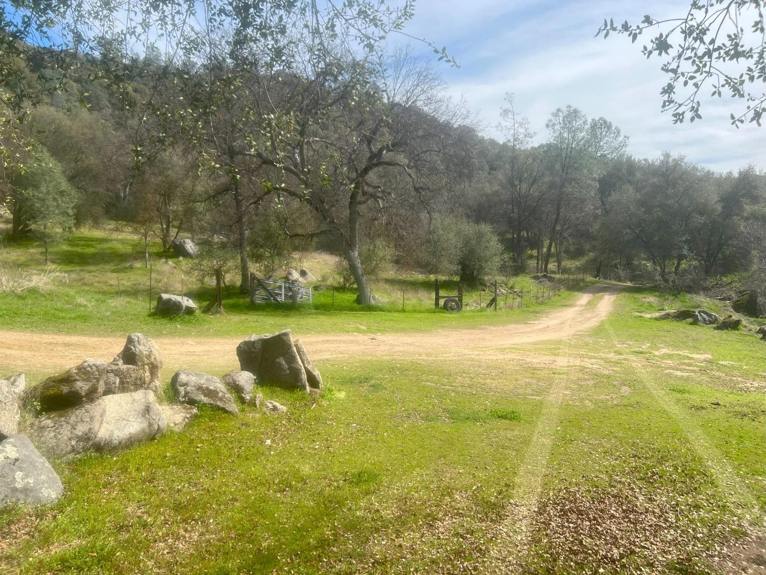 140040 Vincent Fire Road, Tollhouse, CA 93667