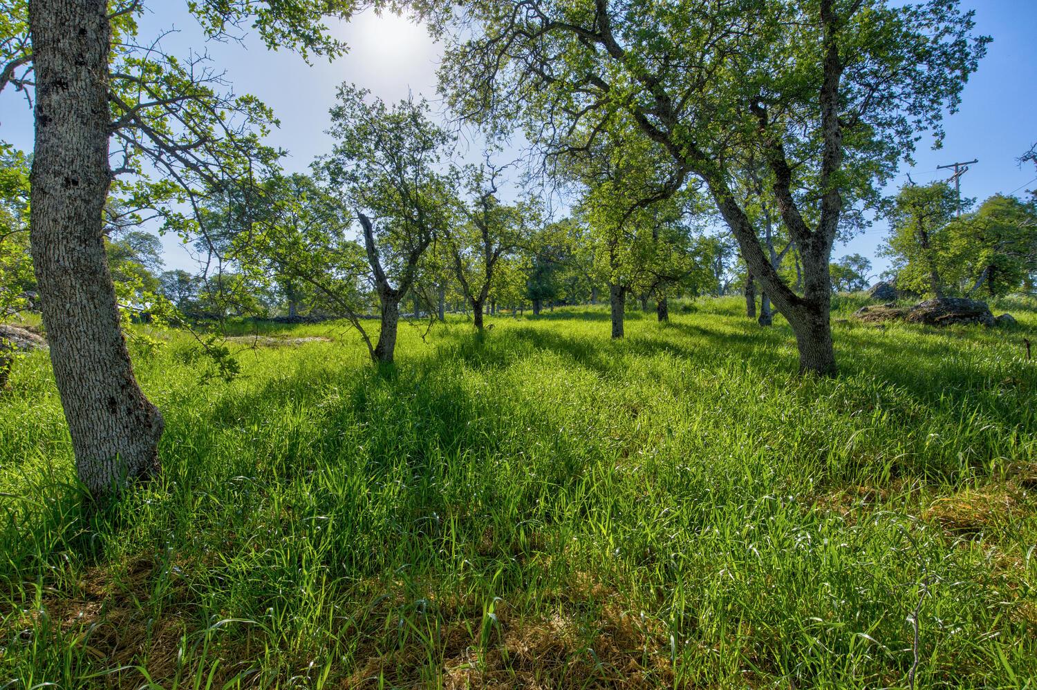 9564 Coronado Dr, La Grange, CA 95329