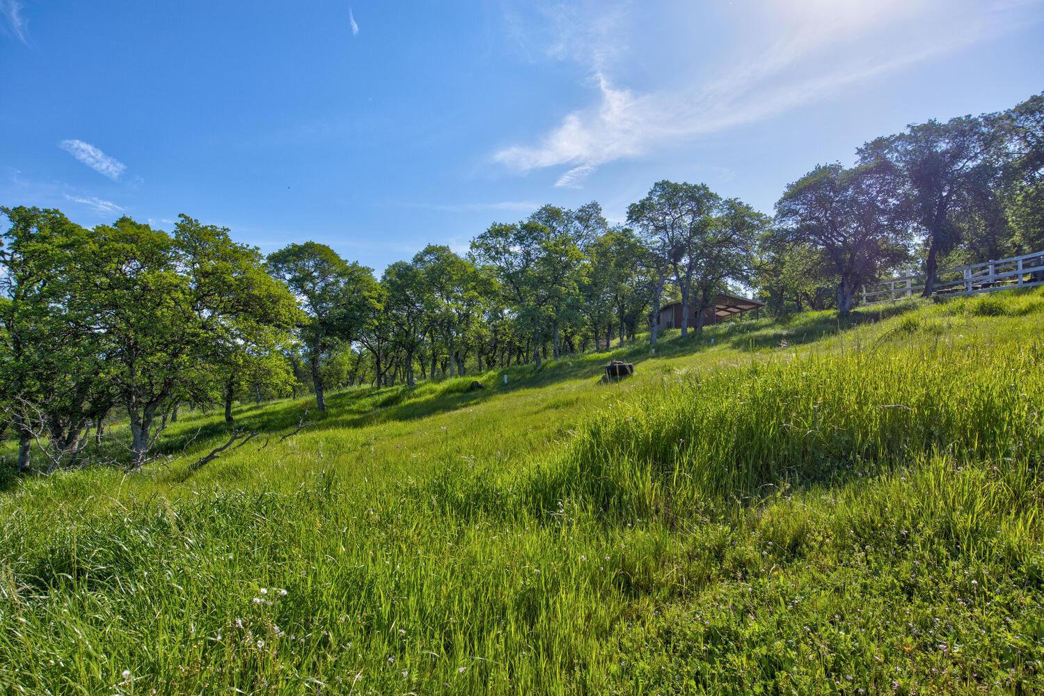 9564 Coronado Dr, La Grange, CA 95329