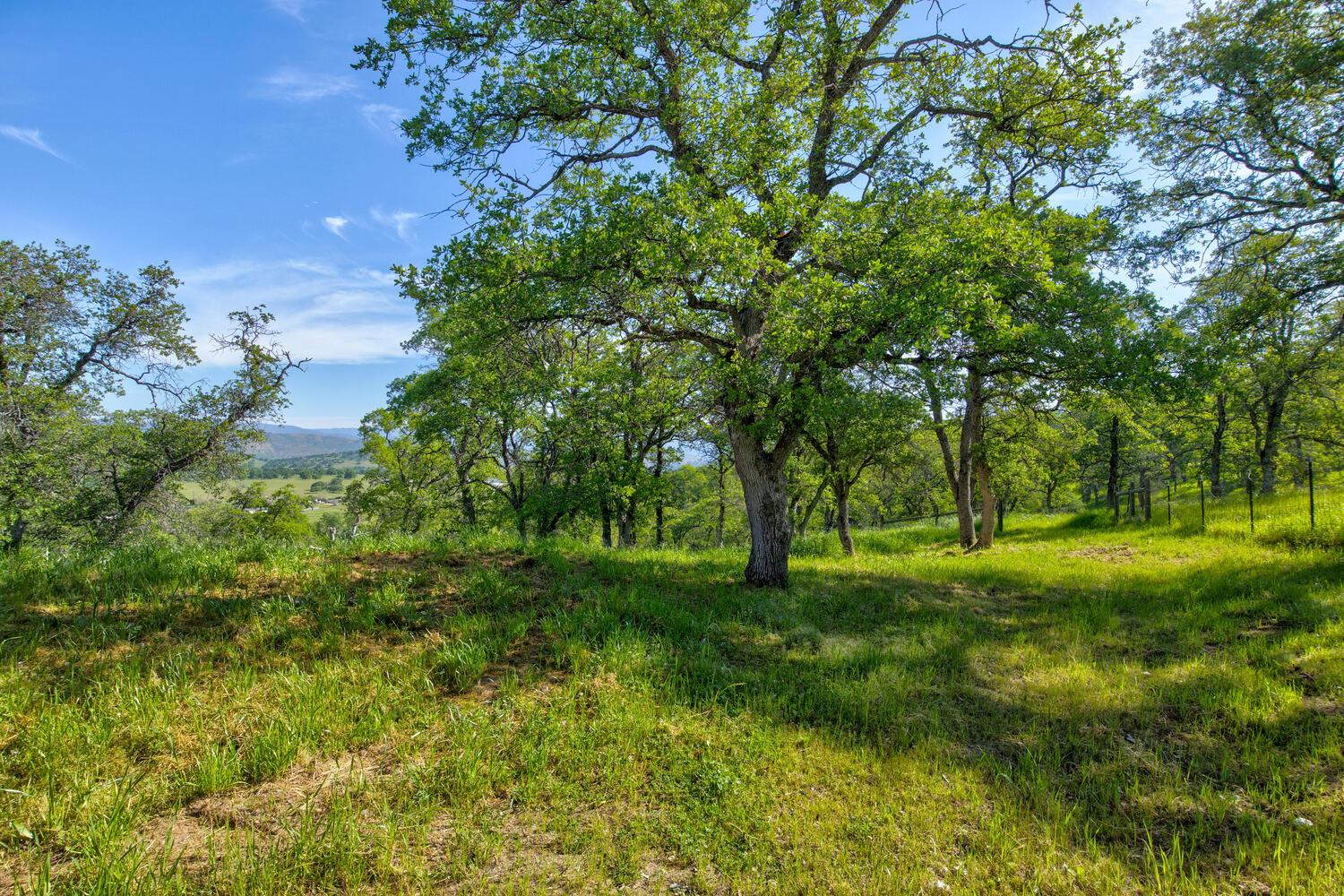 9564 Coronado Dr, La Grange, CA 95329