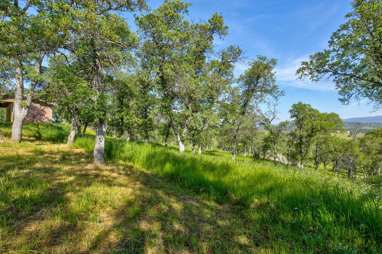 9564 Coronado Dr, La Grange, CA 95329