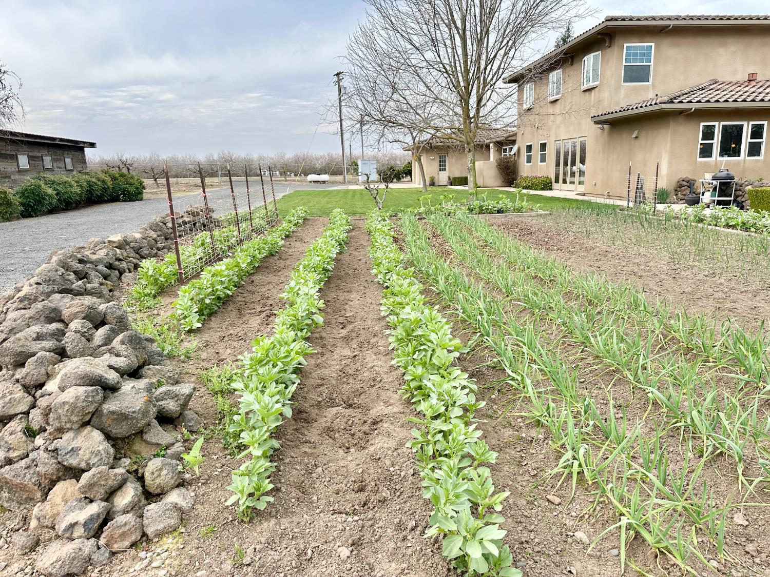 7484 Dusty Ln, Modesto, CA 95357