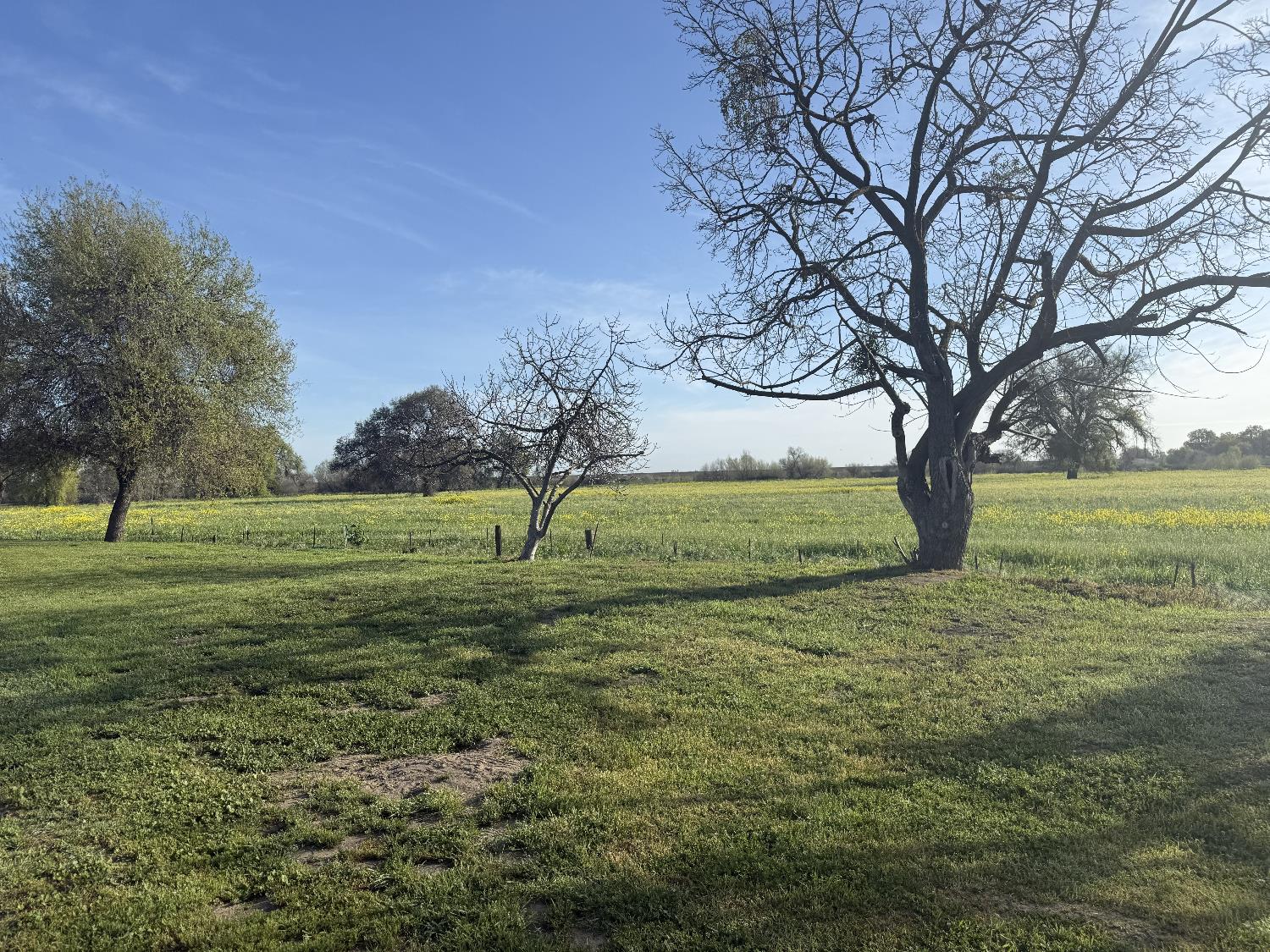 16400 Ash Ave, Patterson, CA 95363