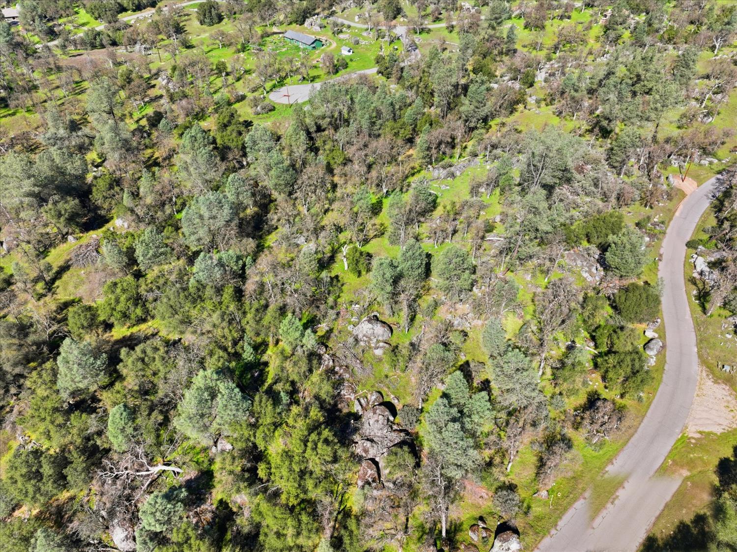 4251 Burl Dr, Mariposa, CA 95338