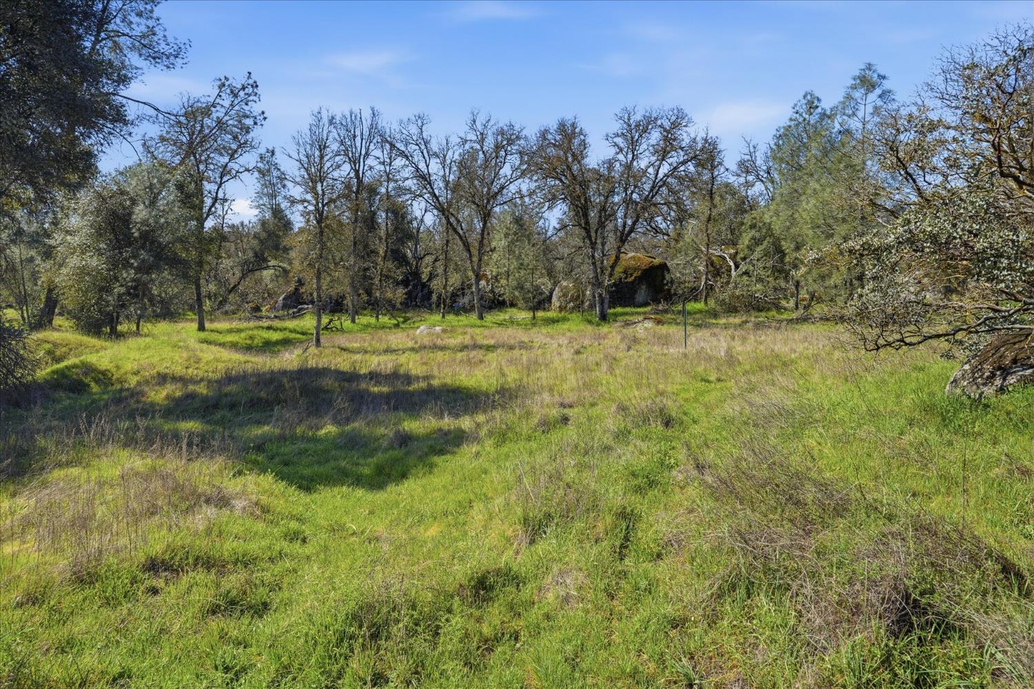 4251 Burl Dr, Mariposa, CA 95338