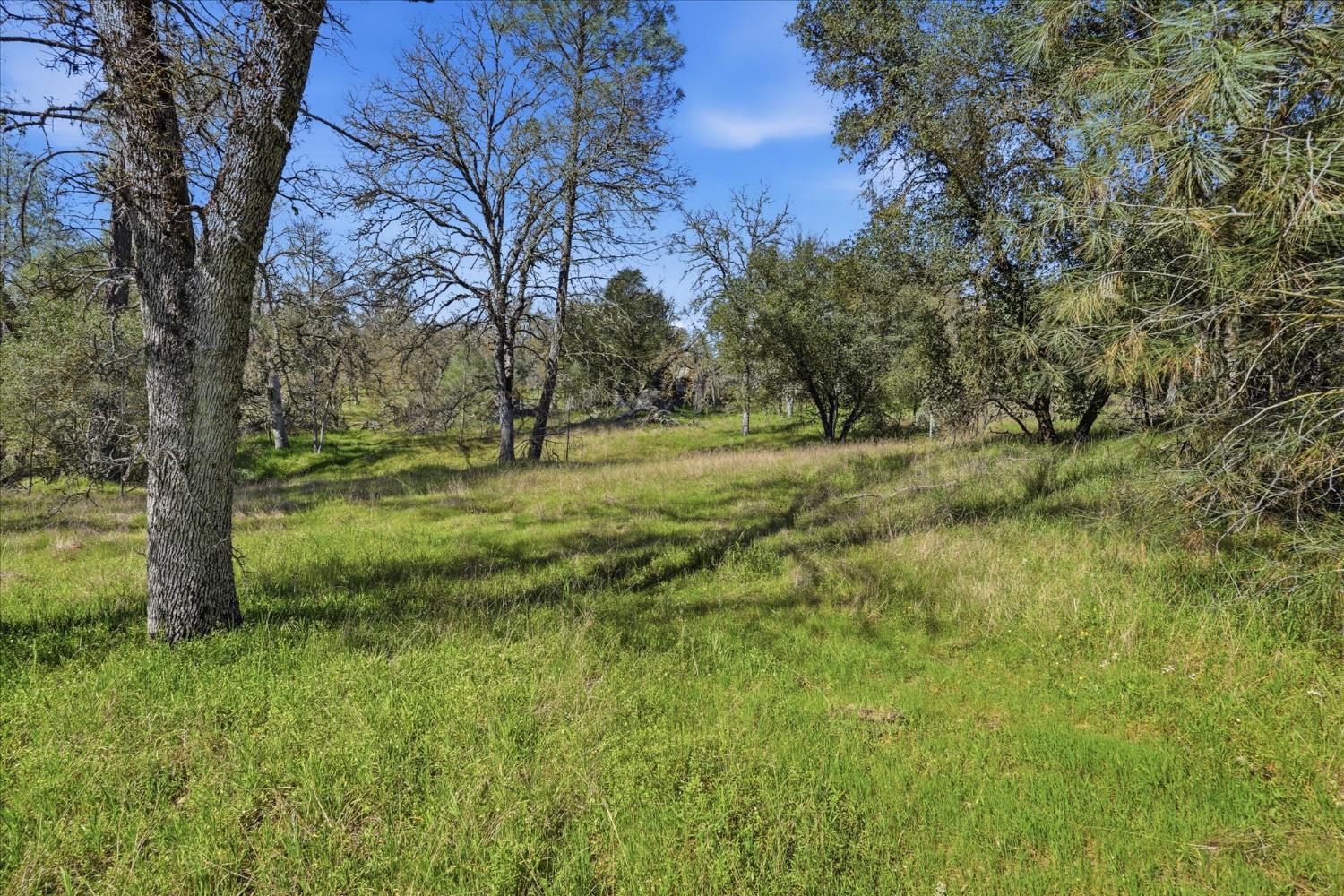4251 Burl Dr, Mariposa, CA 95338