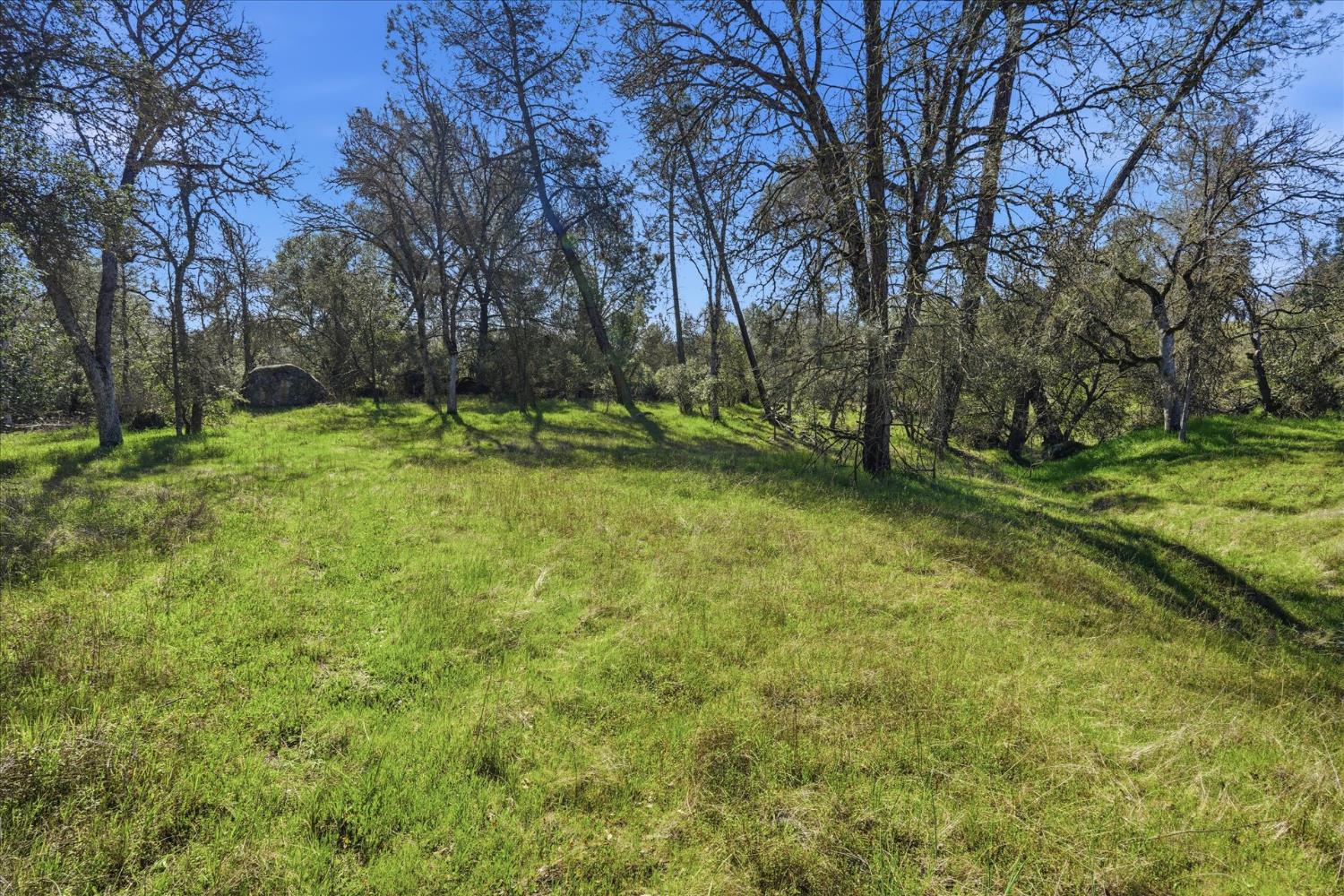 4251 Burl Dr, Mariposa, CA 95338