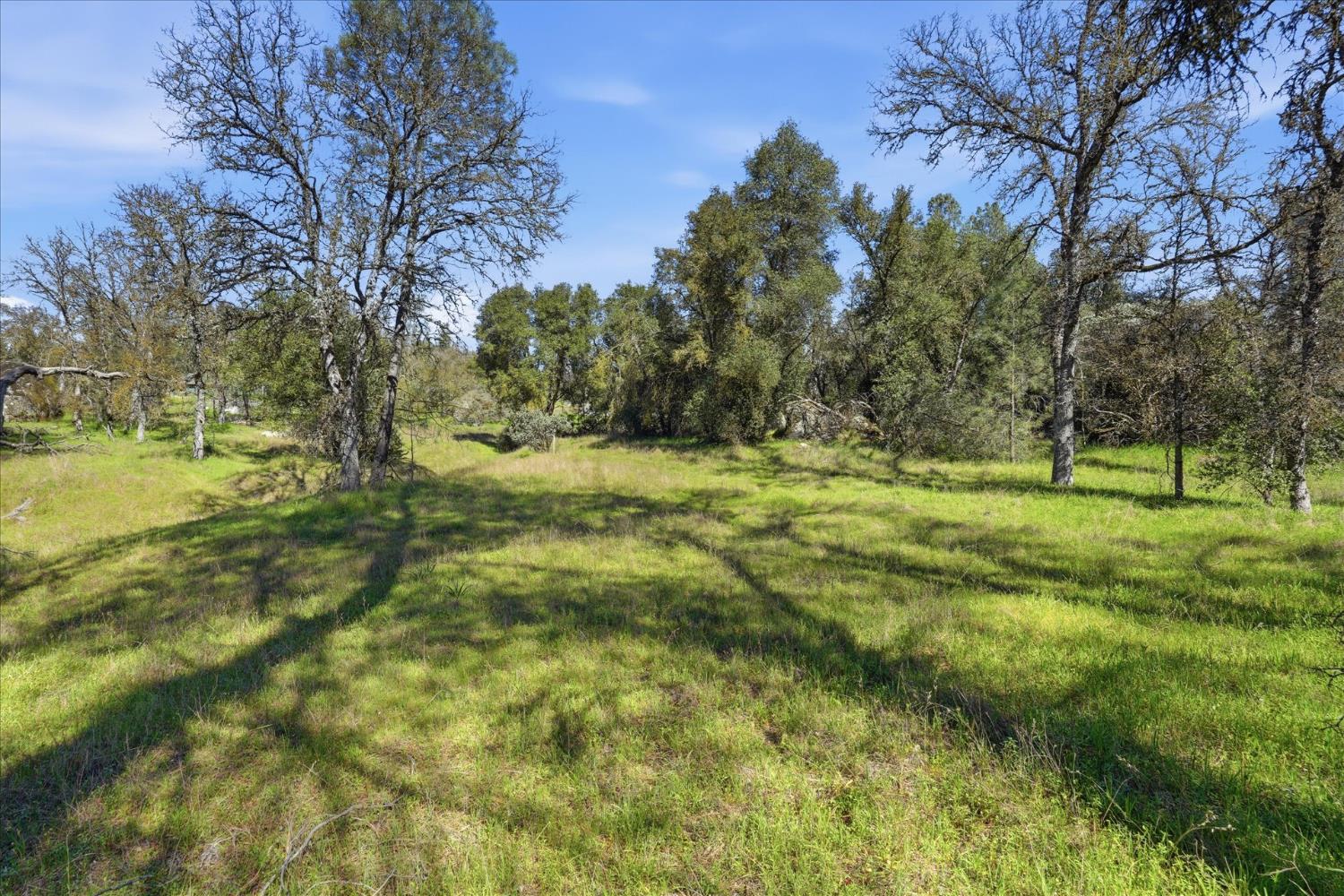 4251 Burl Dr, Mariposa, CA 95338