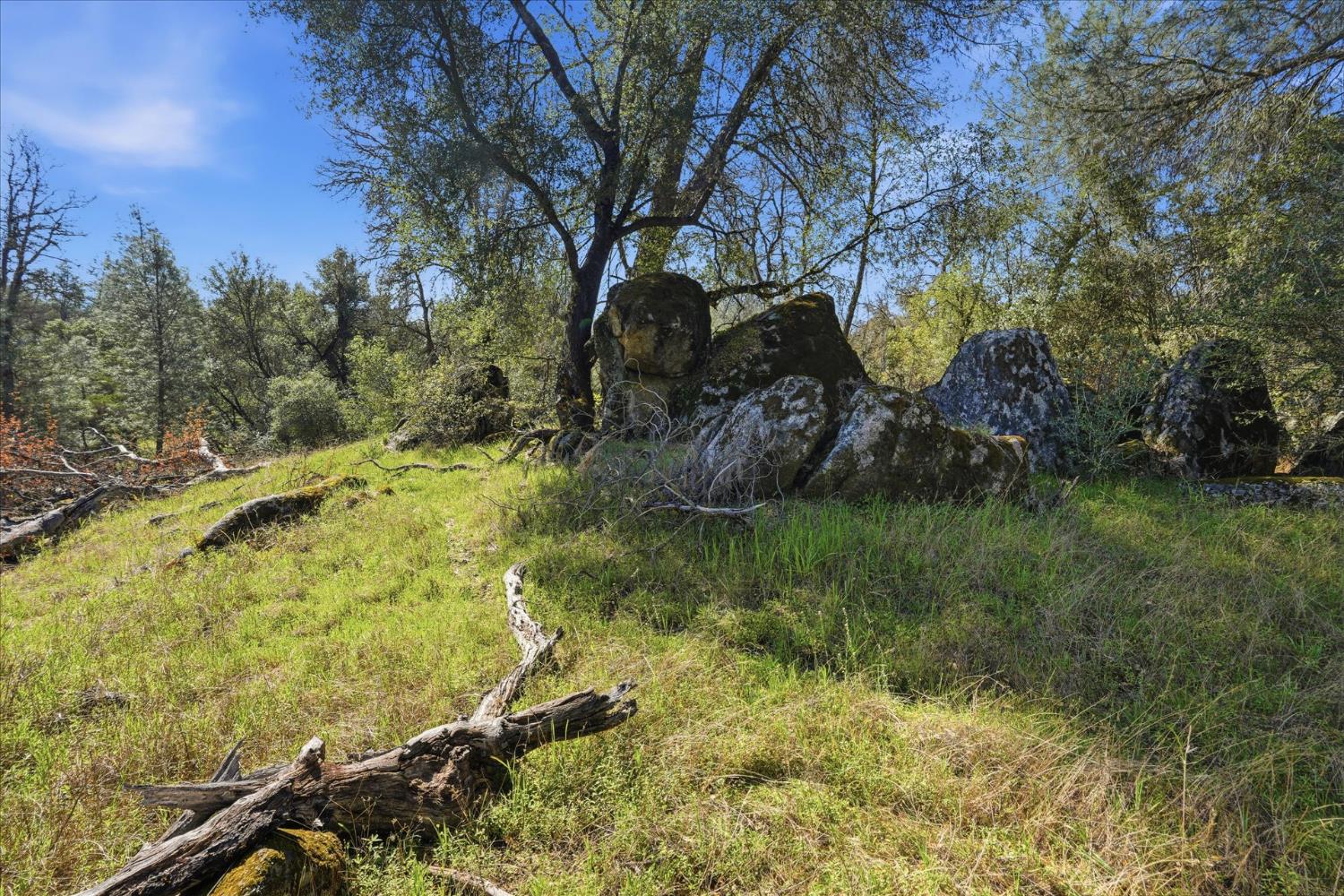 4251 Burl Dr, Mariposa, CA 95338