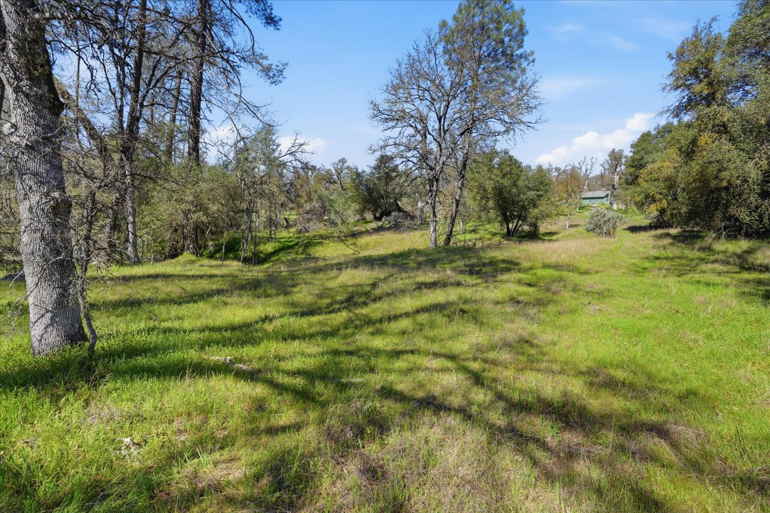 4251 Burl Dr, Mariposa, CA 95338