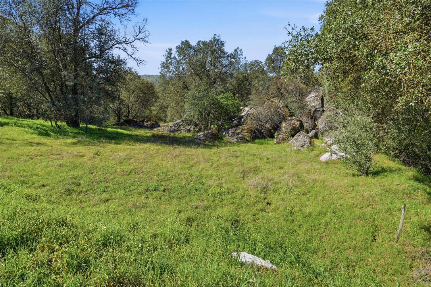 4251 Burl Dr, Mariposa, CA 95338