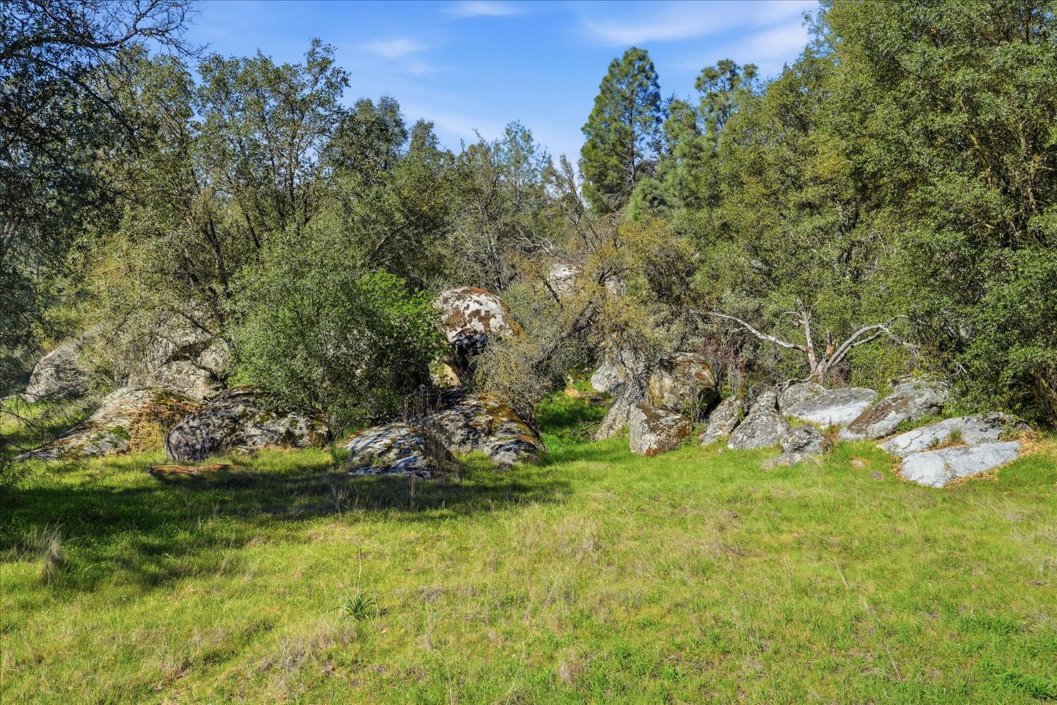 4251 Burl Dr, Mariposa, CA 95338