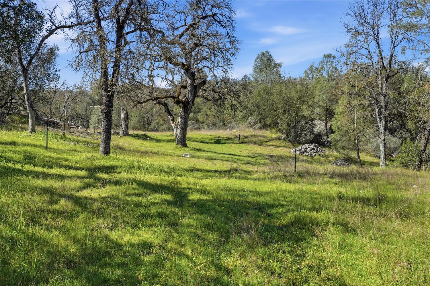 4251 Burl Dr, Mariposa, CA 95338
