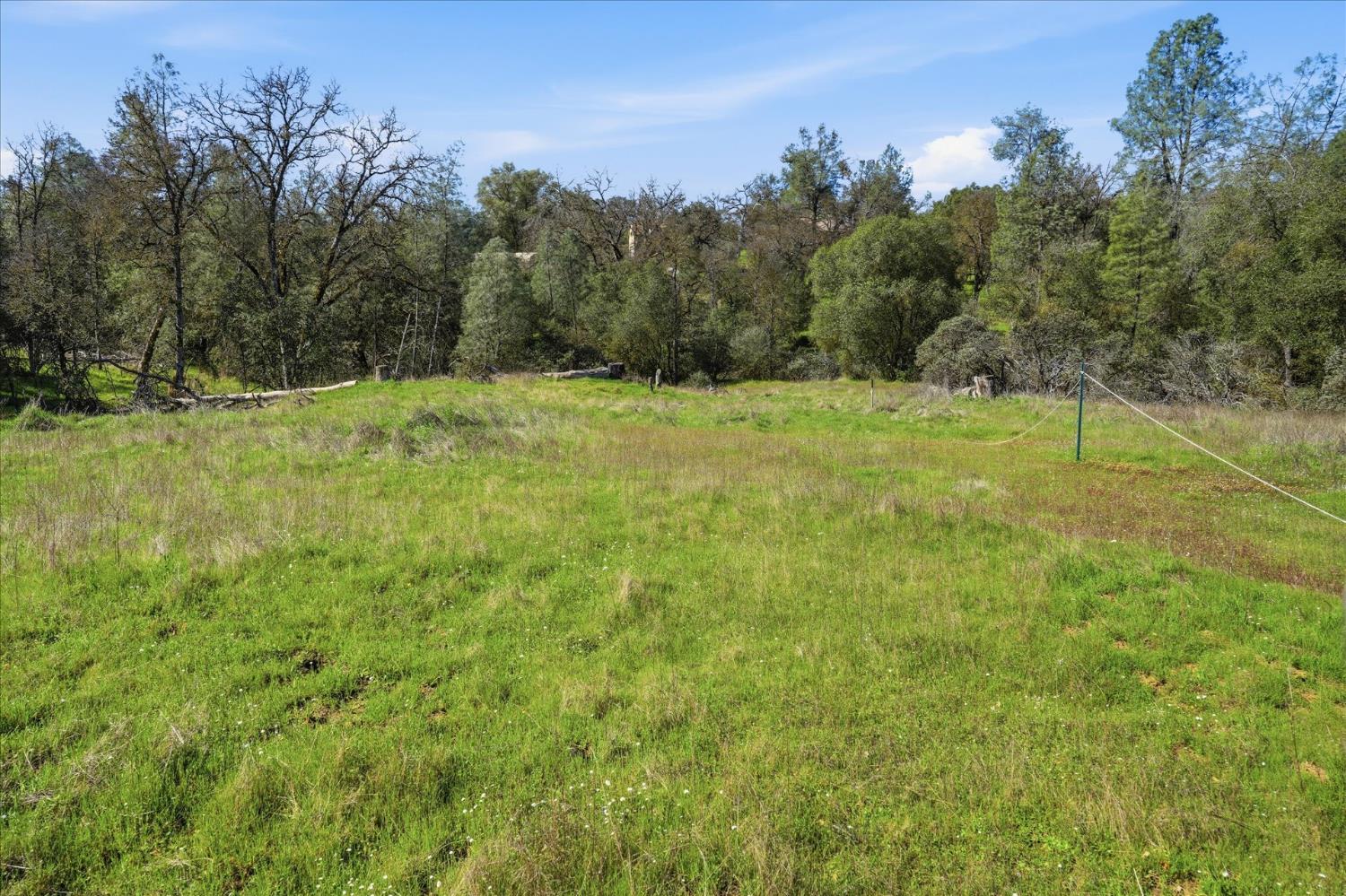 4251 Burl Dr, Mariposa, CA 95338