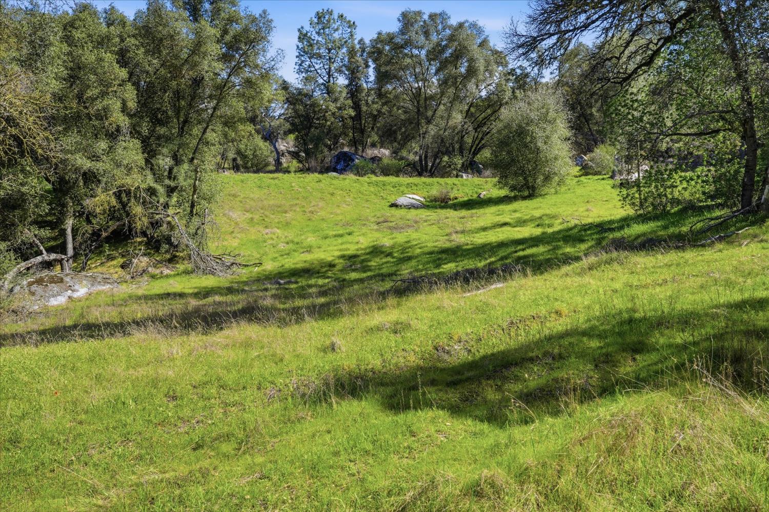 4251 Burl Dr, Mariposa, CA 95338