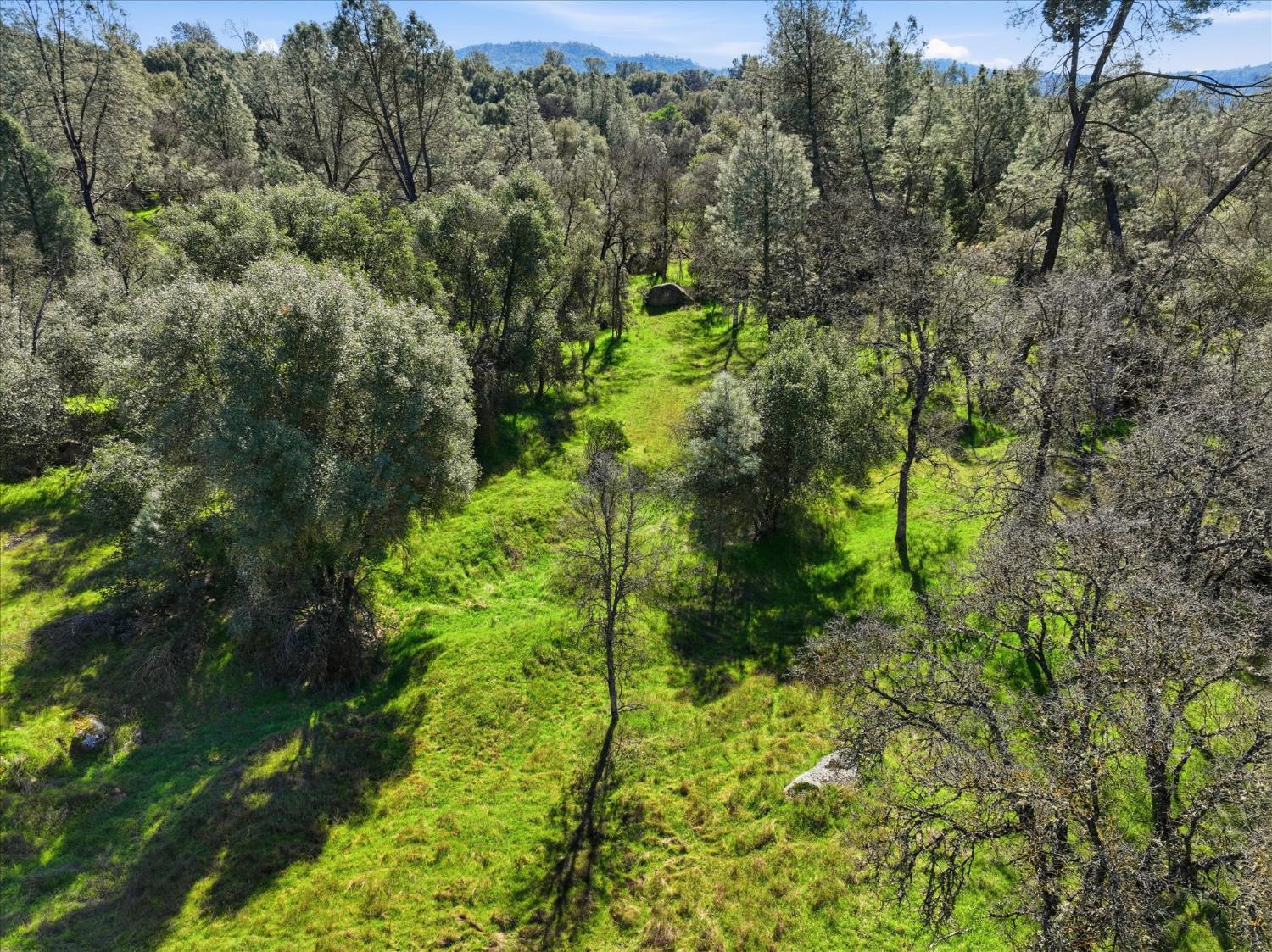 4251 Burl Dr, Mariposa, CA 95338