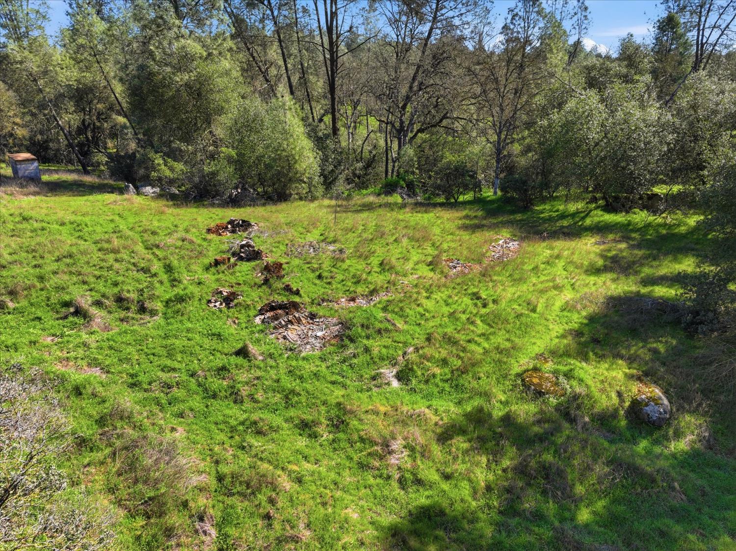 4251 Burl Dr, Mariposa, CA 95338