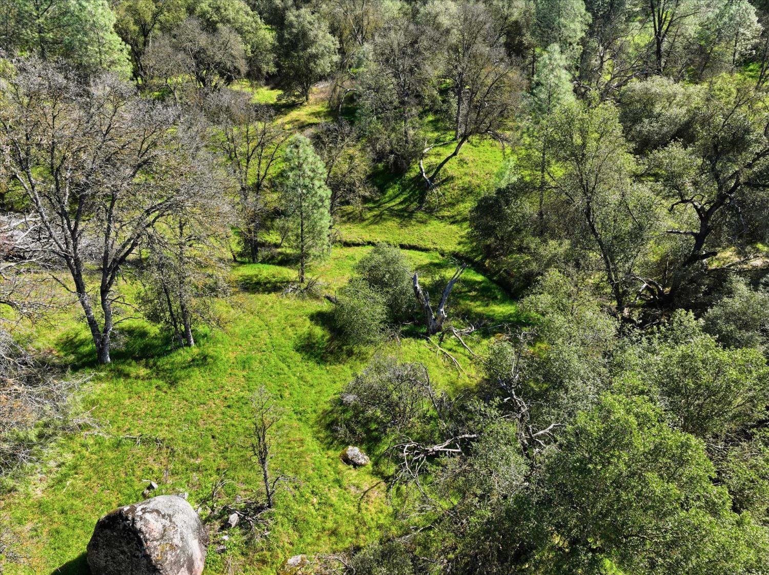 4251 Burl Dr, Mariposa, CA 95338