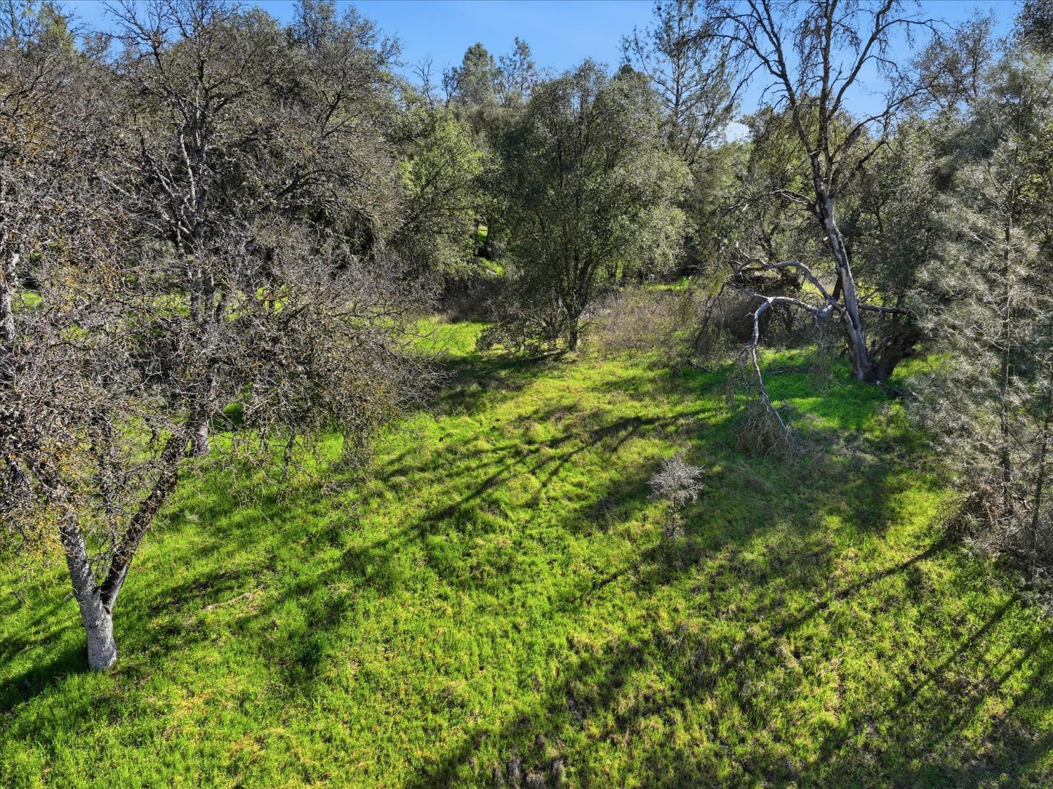 4251 Burl Dr, Mariposa, CA 95338
