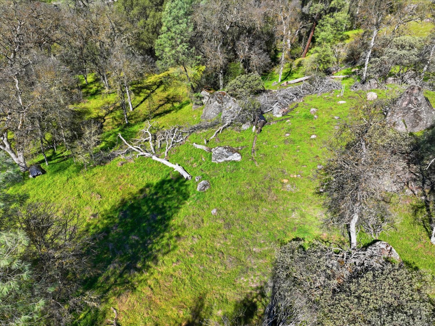 4251 Burl Dr, Mariposa, CA 95338