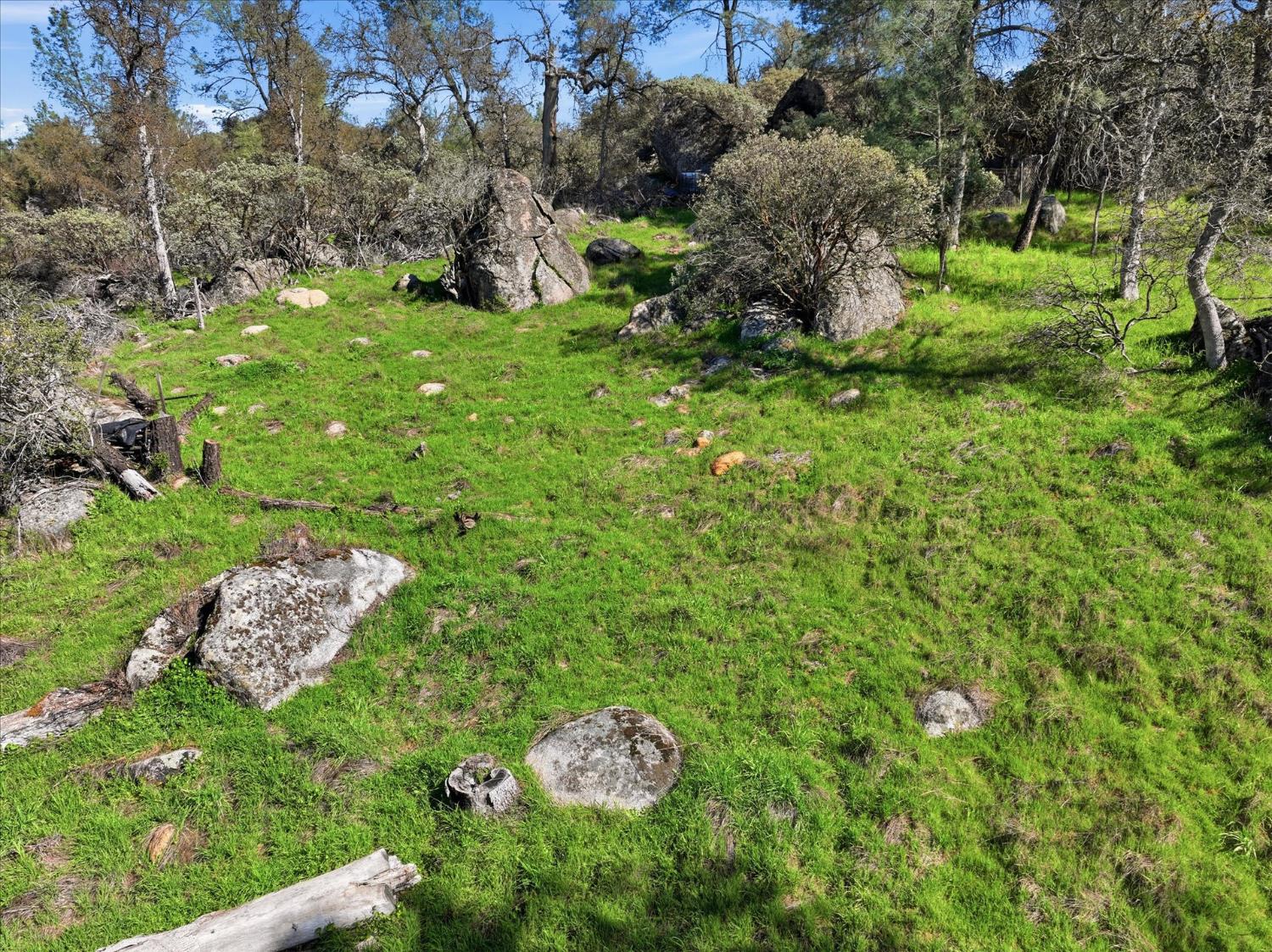 4251 Burl Dr, Mariposa, CA 95338